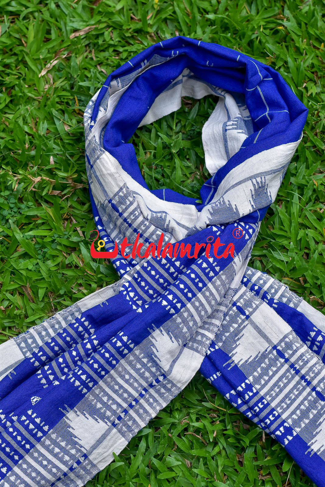 Blue White Checks (Kotpad Dupatta)