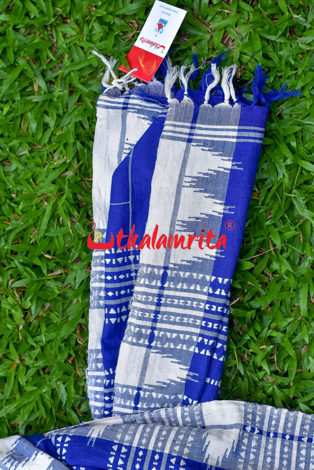 Blue White Checks (Kotpad Dupatta)