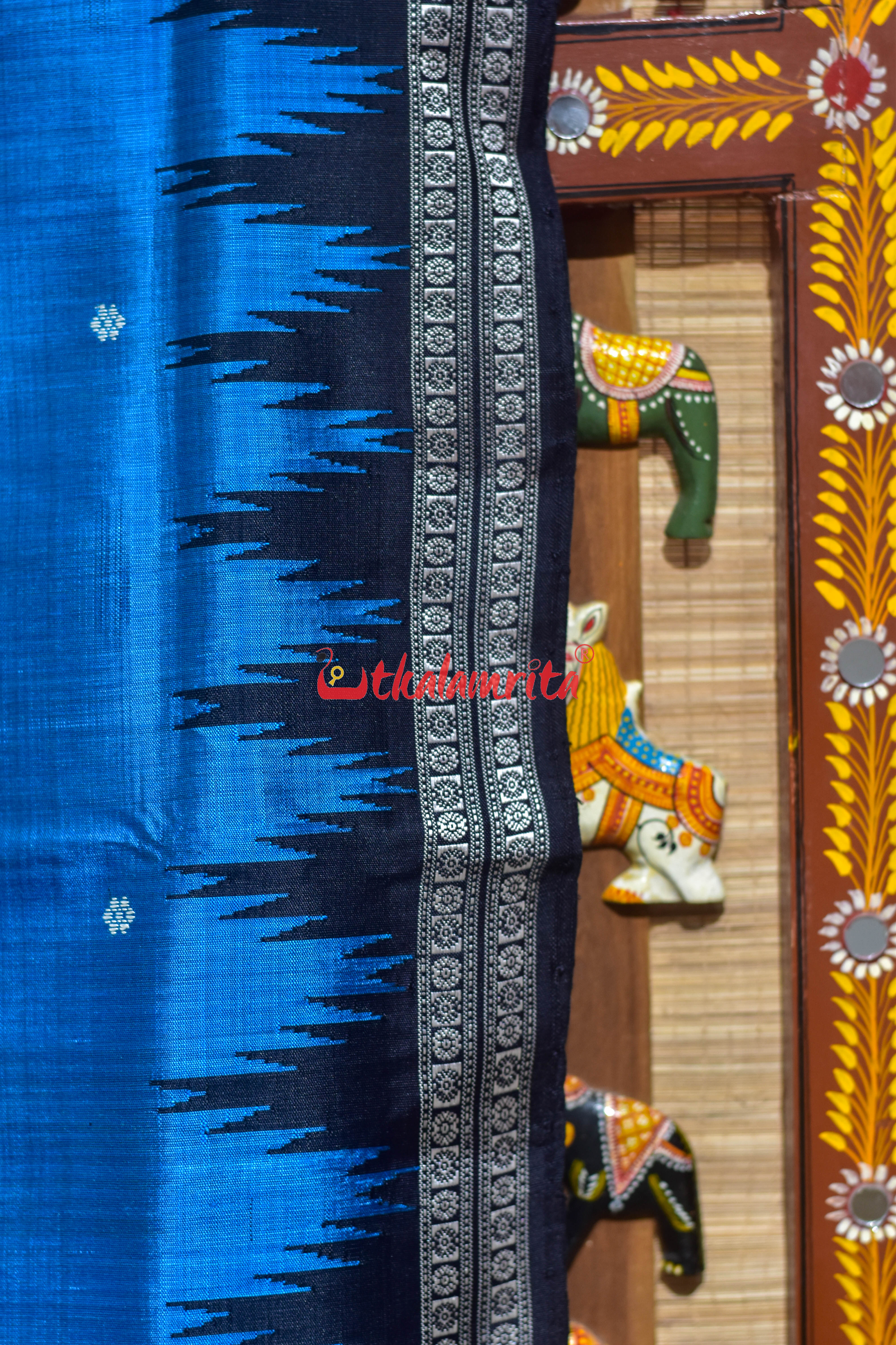 Copper Sulphate Black Double Anchal Berhampuri Silk Saree