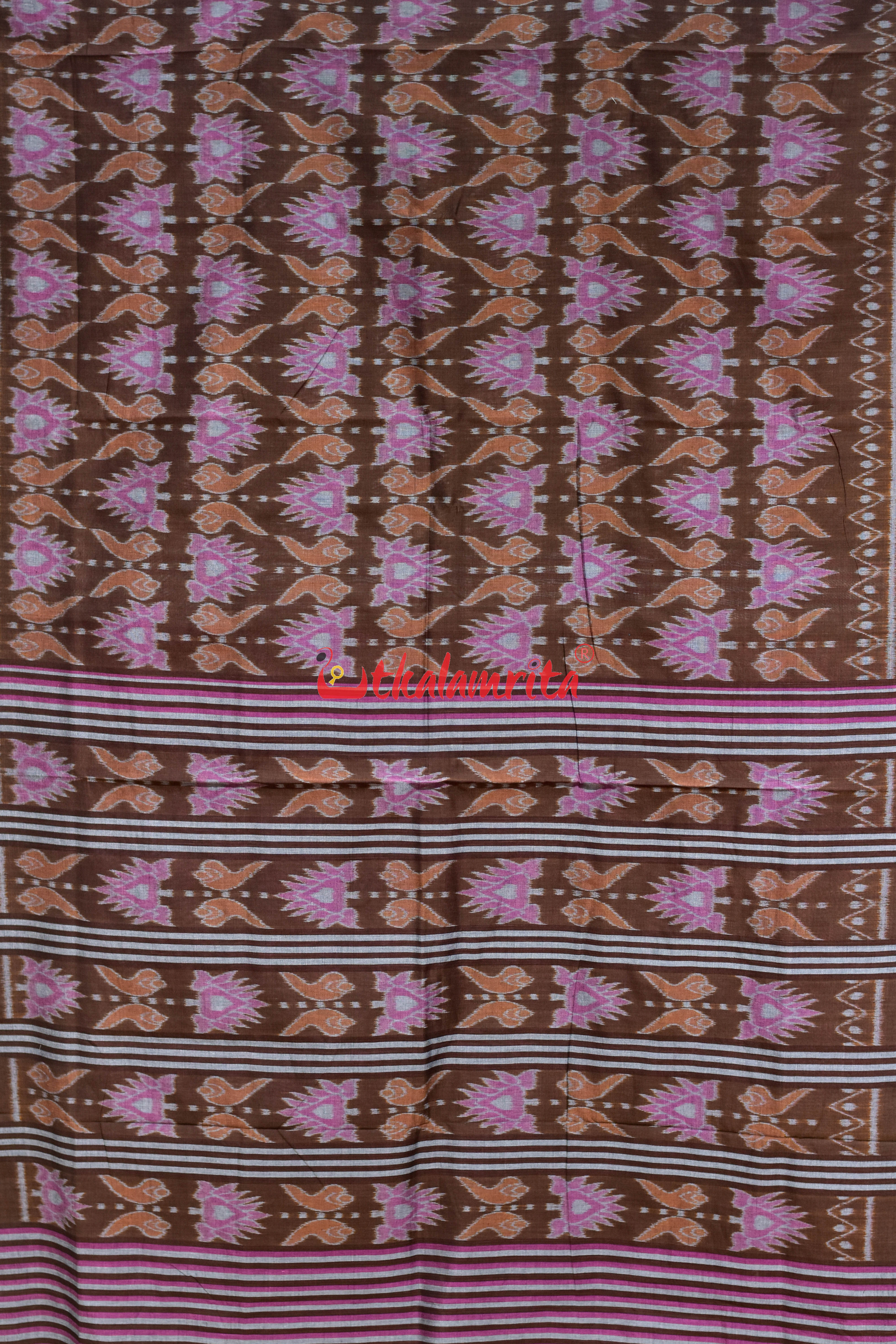Coffee Jodi Sankha Khandua Cotton Saree