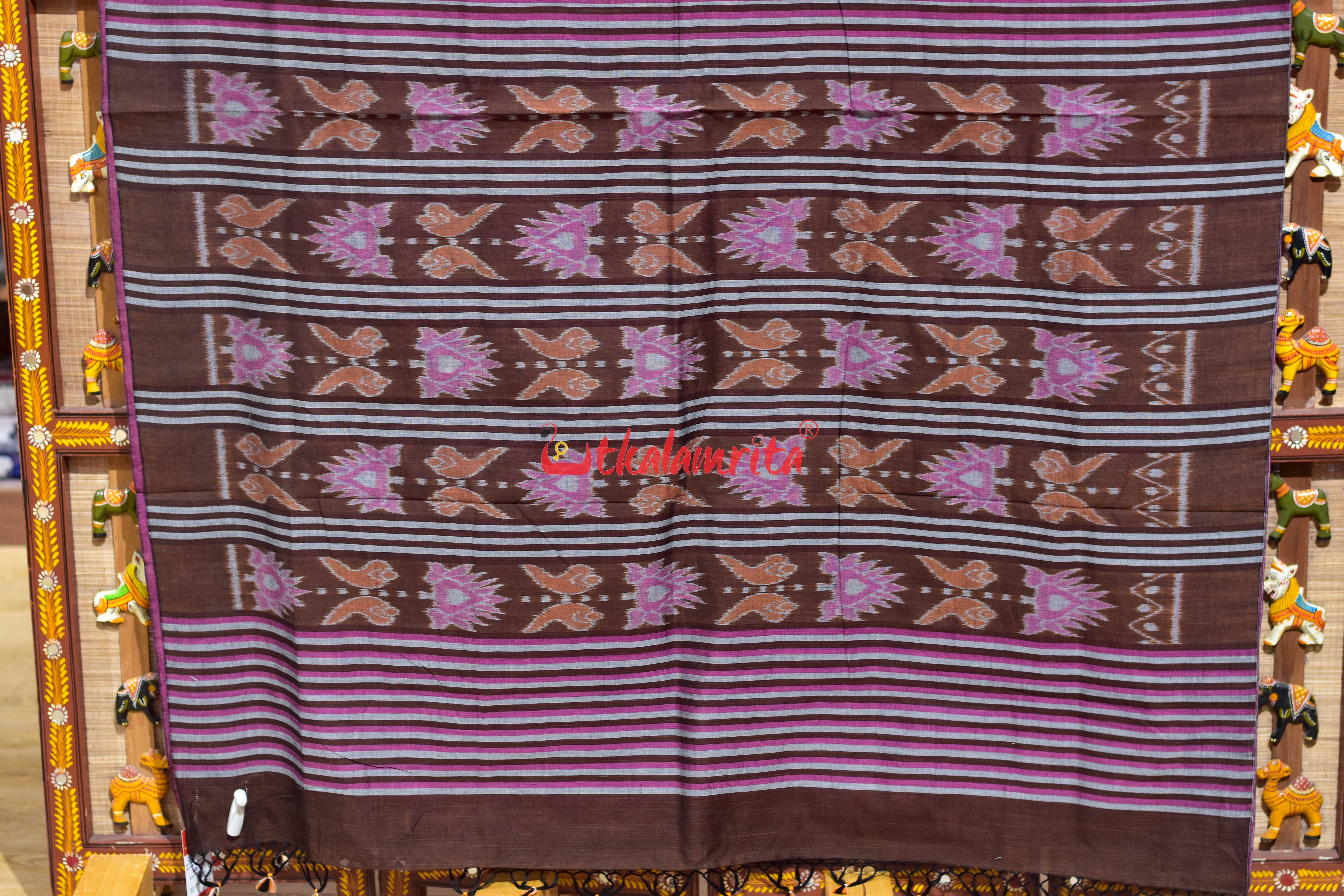 Coffee Jodi Sankha Khandua Cotton Saree