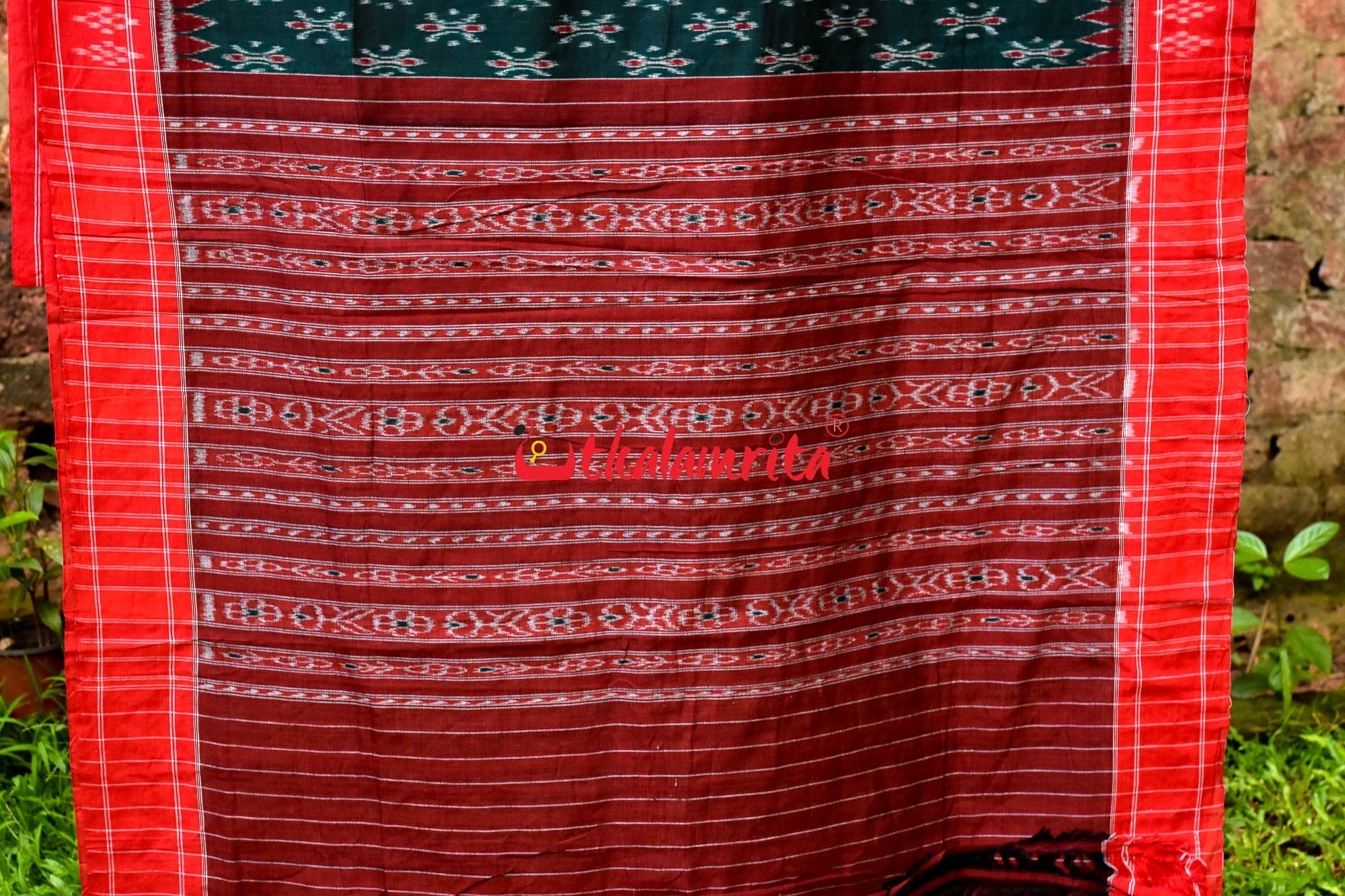 Bottle Green Damru Khandua Pasapali Border Cotton Saree