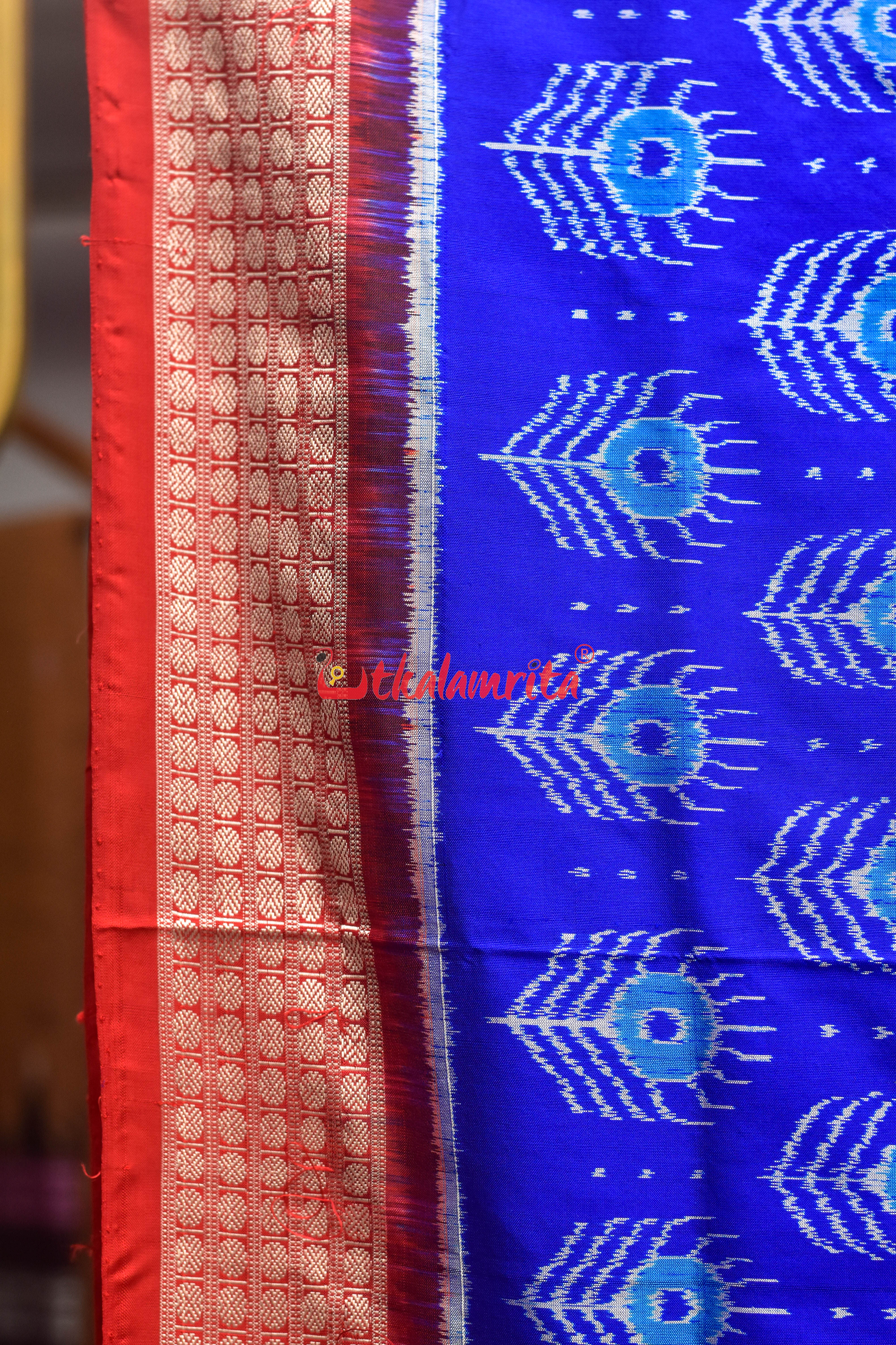 Blue Red Mayurapucha Sambalpuri Silk Saree