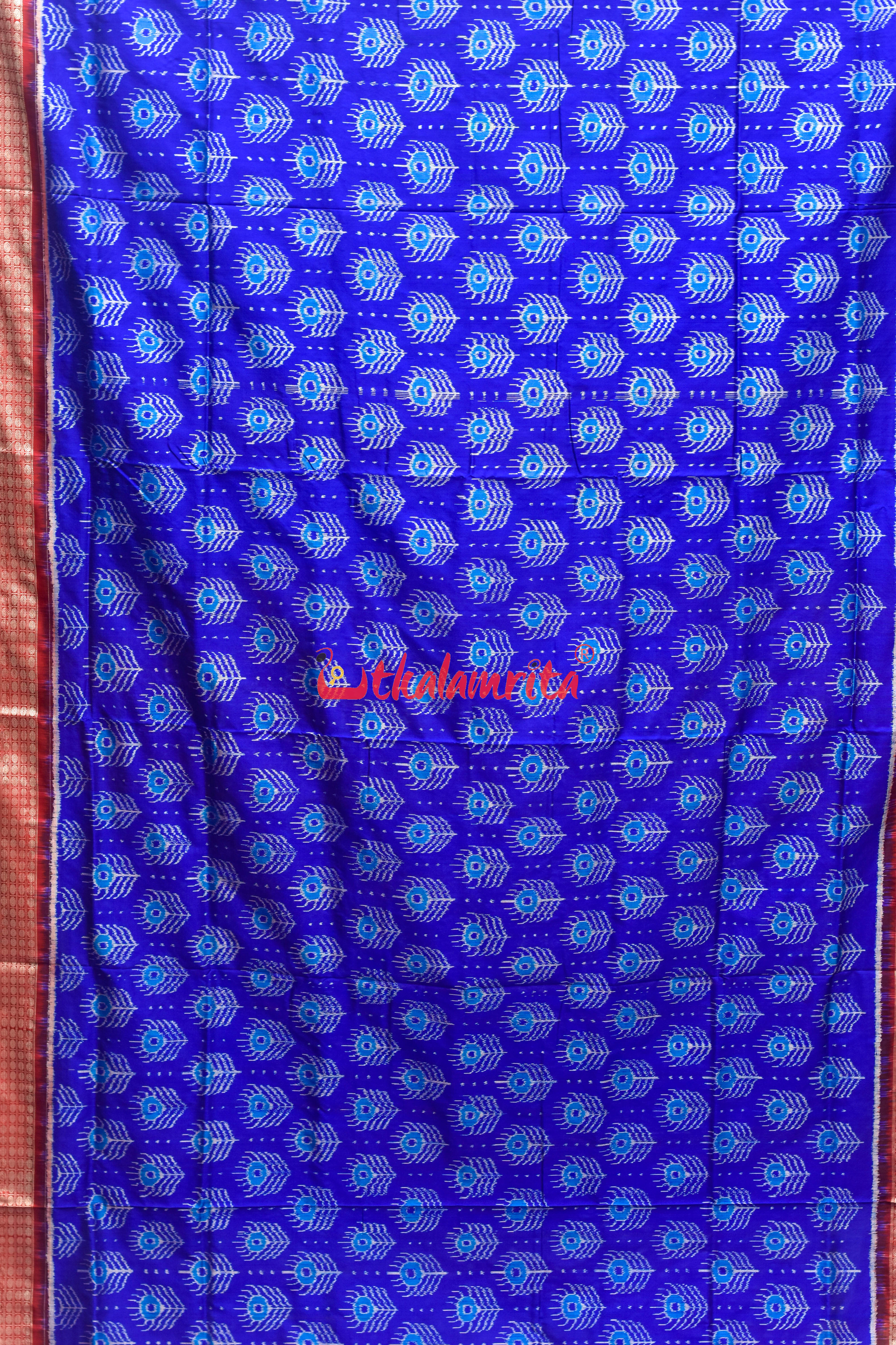 Blue Red Mayurapucha Sambalpuri Silk Saree