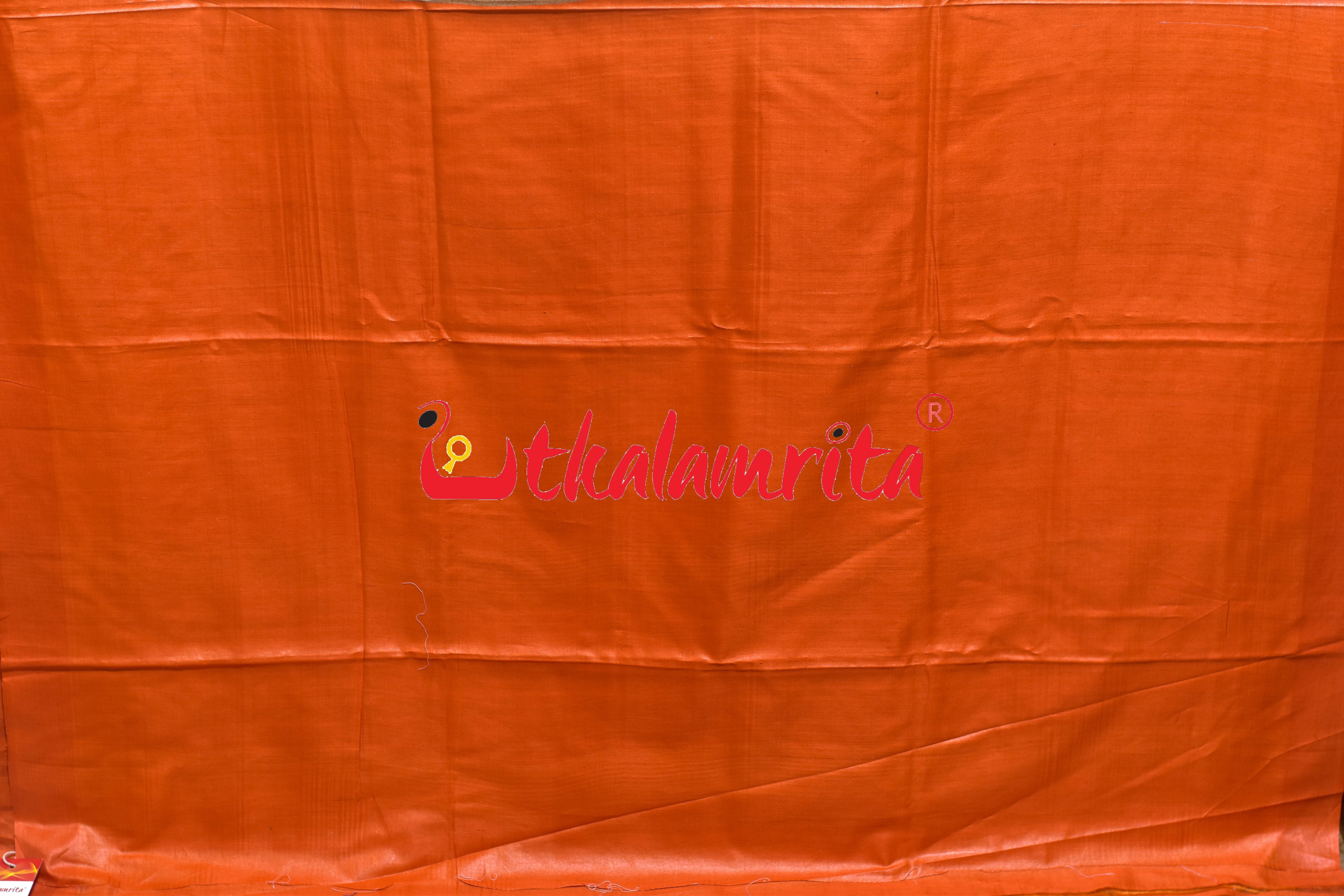 Natural Body Orange Border Gopalpur Tussar Silk Saree