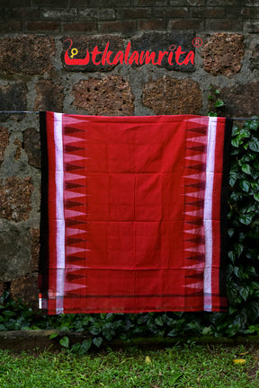 Red Triranga Kargil Border (Dupatta)