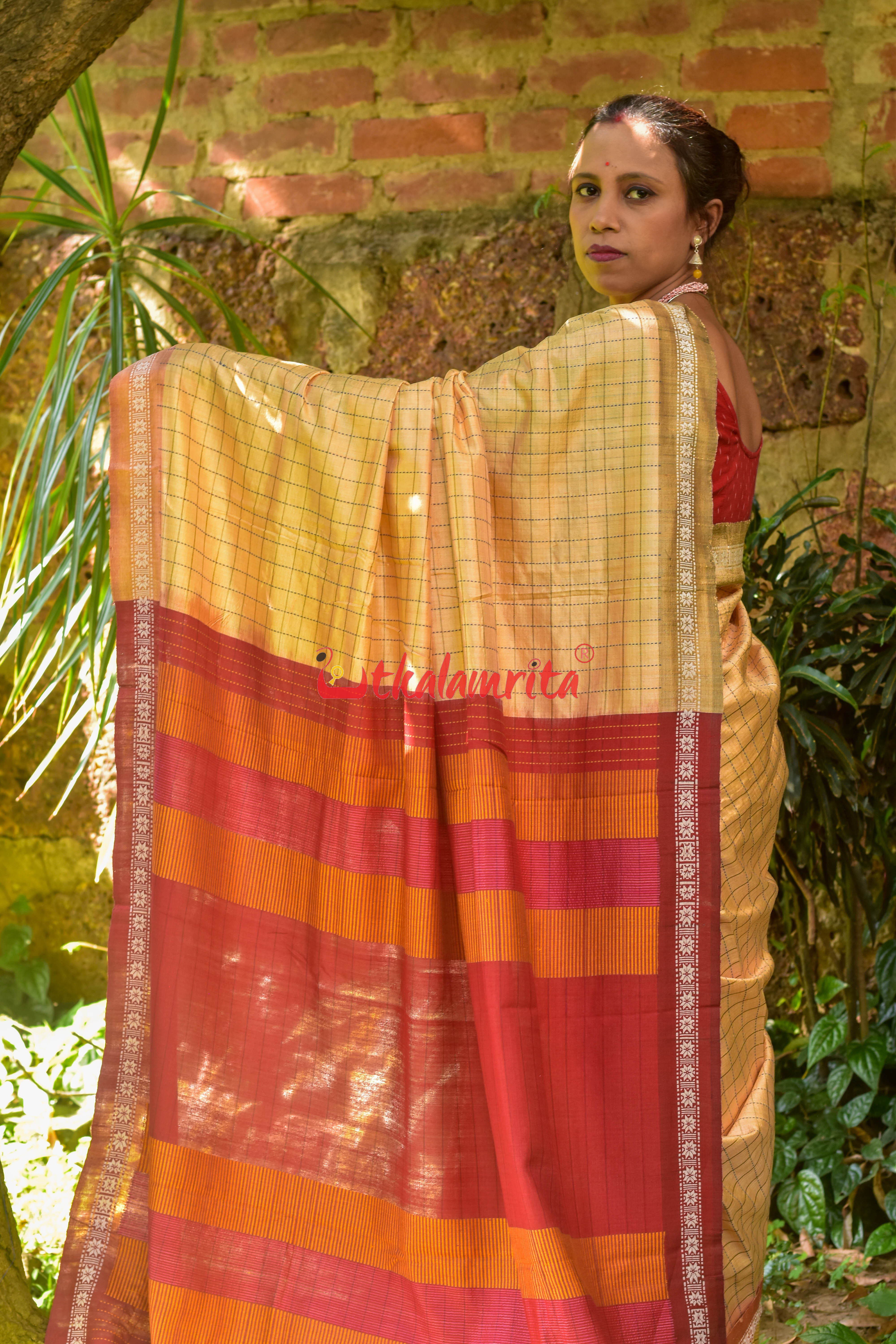 Orange Body Check And Anchal Stripes Tussar Saree