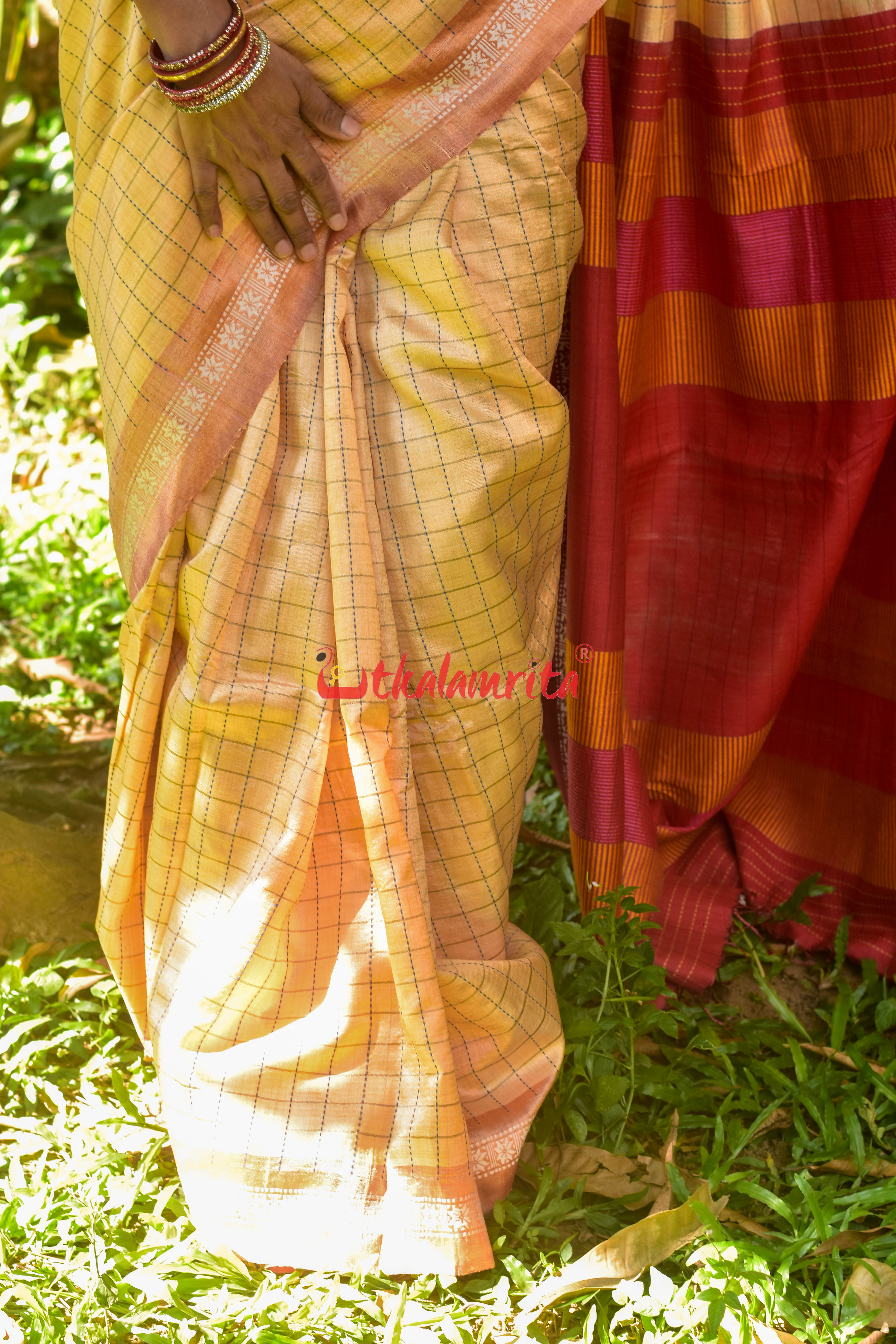 Orange Body Check And Anchal Stripes Tussar Saree