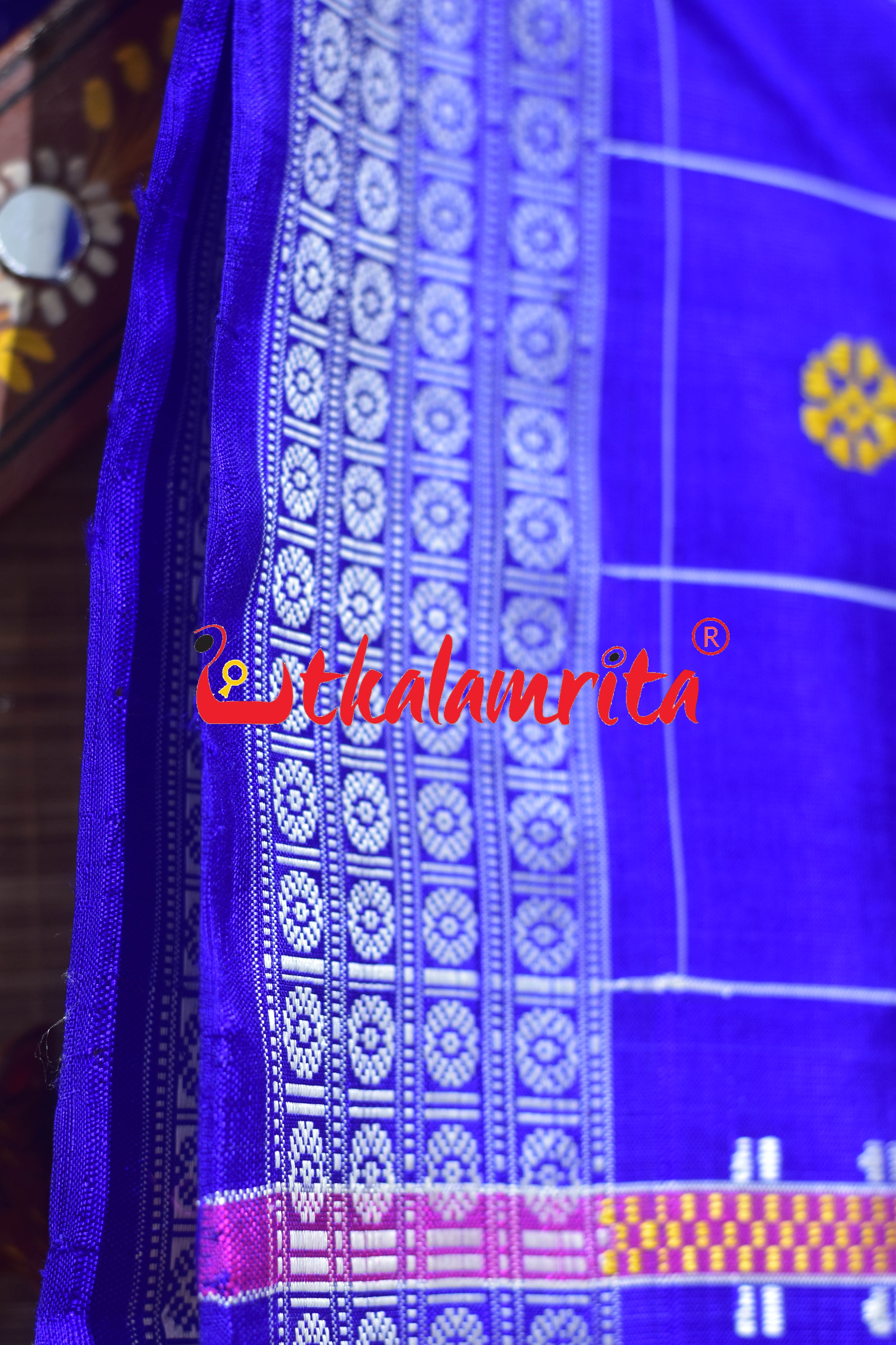 Blue Body Checks Double Anchal Berhampuri Silk Saree