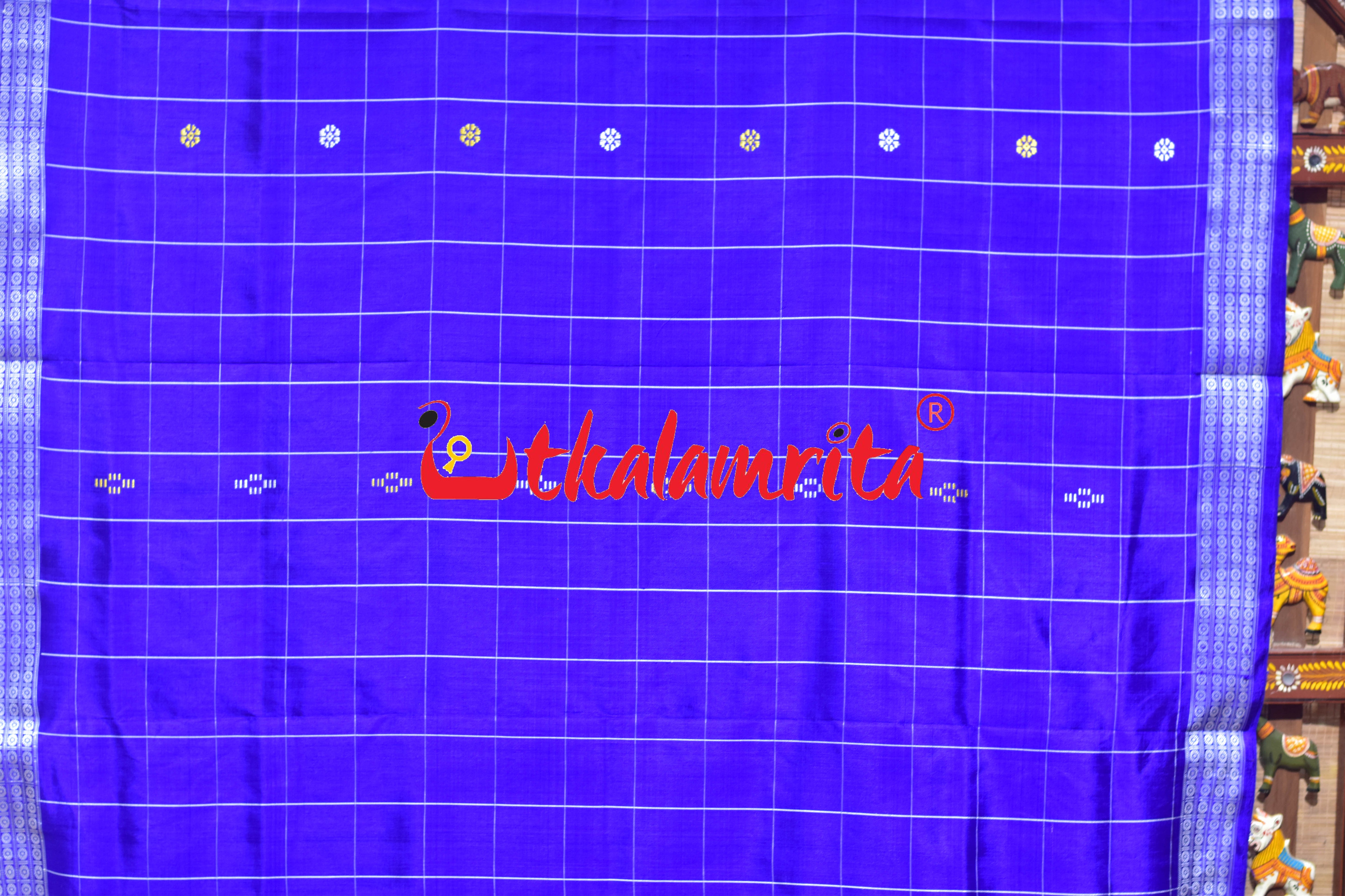 Blue Body Checks Double Anchal Berhampuri Silk Saree