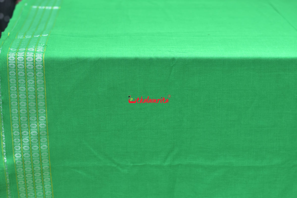 Light Green Blouse (Fabric)