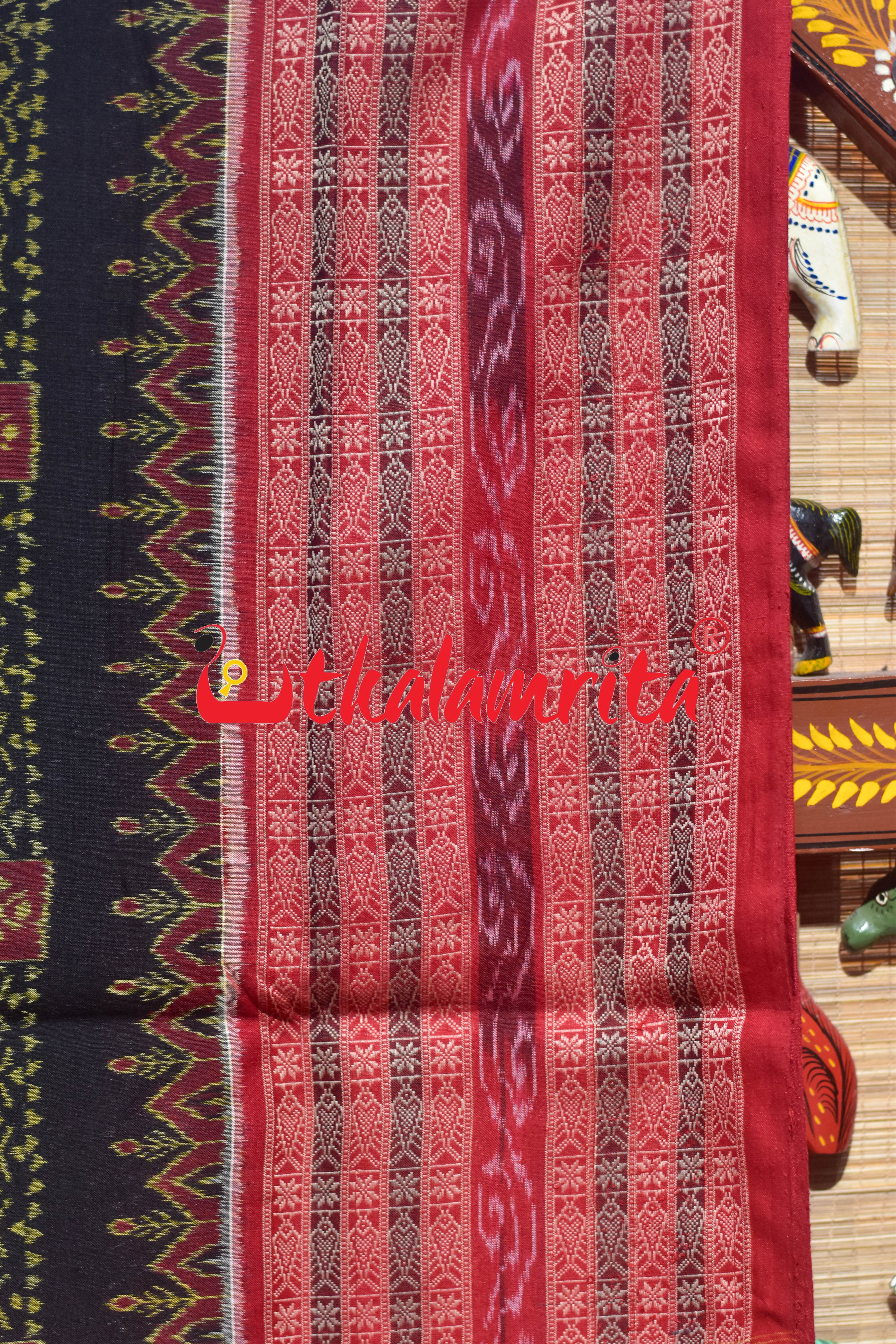 Black Red Uansa Rani Sambalpuri Cotton Saree