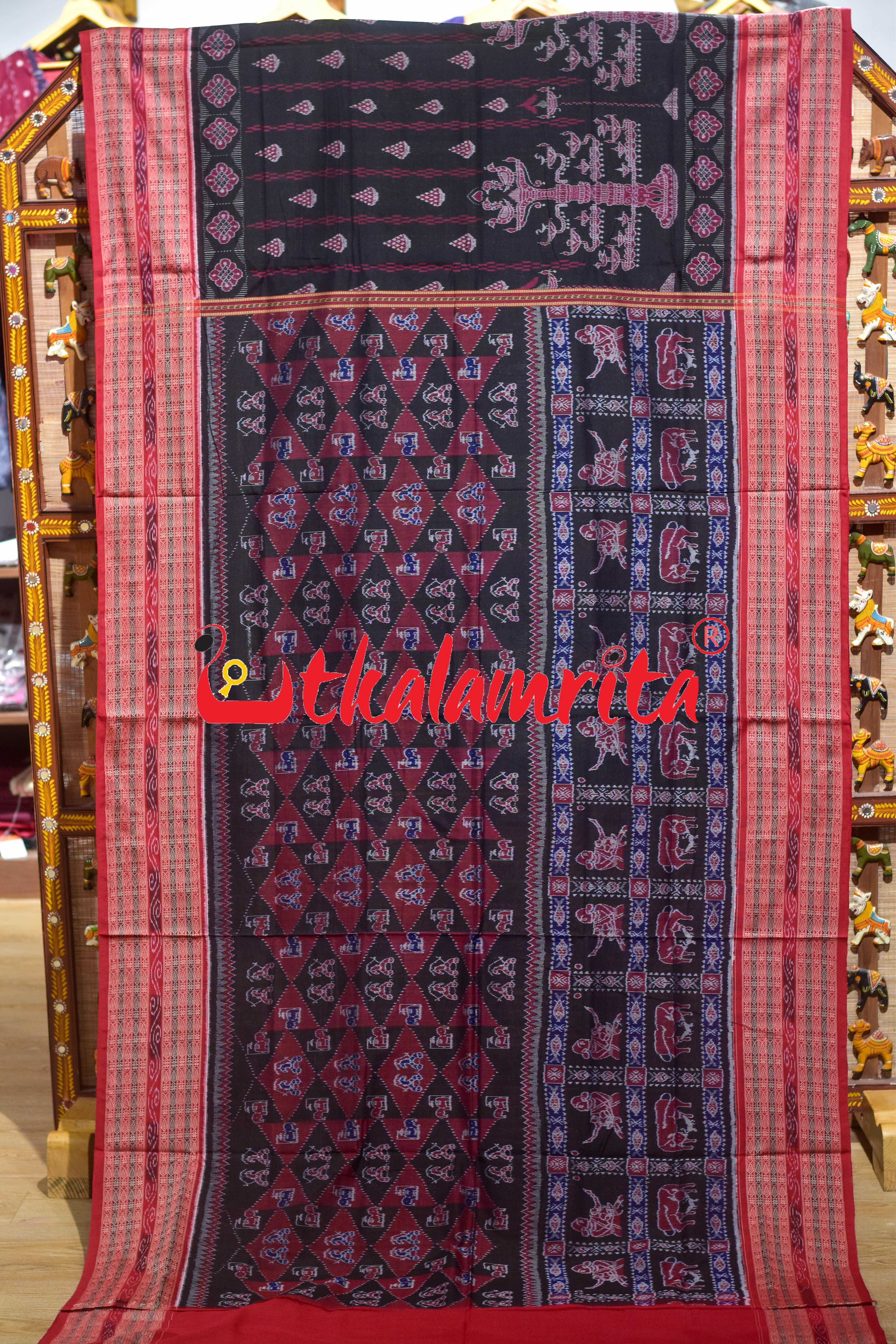 Black Red Uansa Rani Sambalpuri Cotton Saree