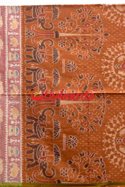 Hati Pink Brown Green Sambalpuri Cotton Saree