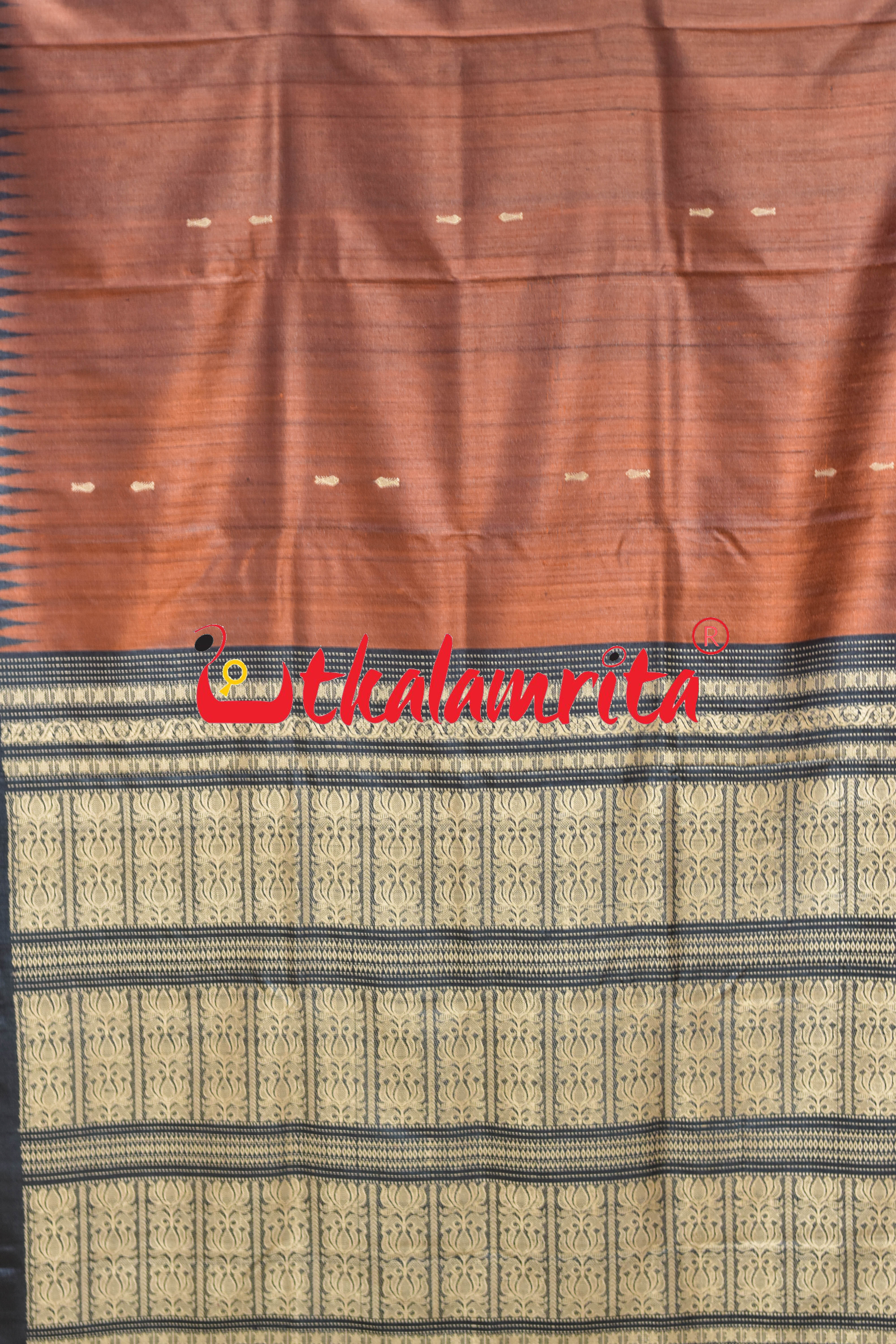 Rust Black Padma Jala Anchal Gopalpur Tussar Silk Saree