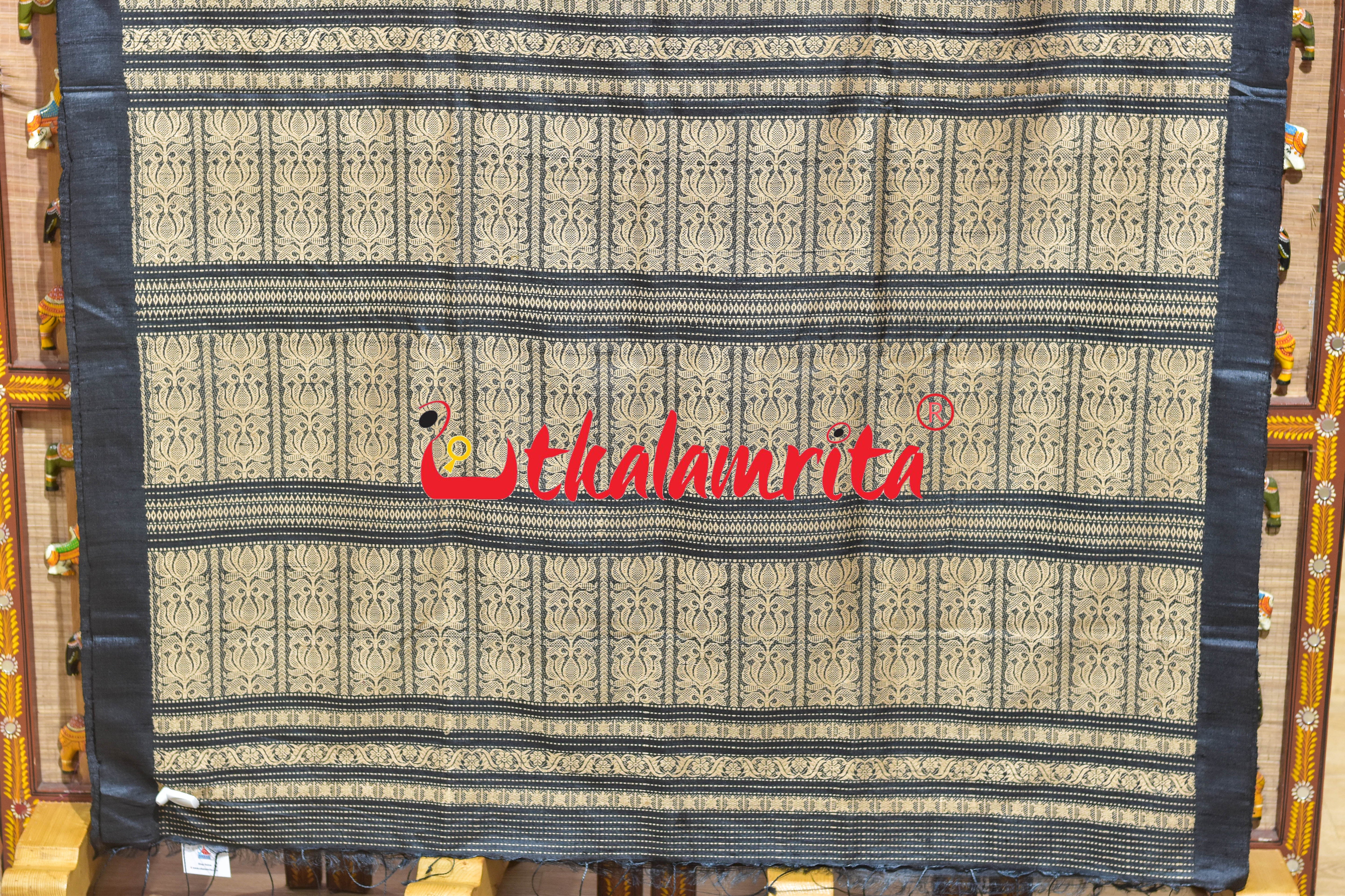 Rust Black Padma Jala Anchal Gopalpur Tussar Silk Saree
