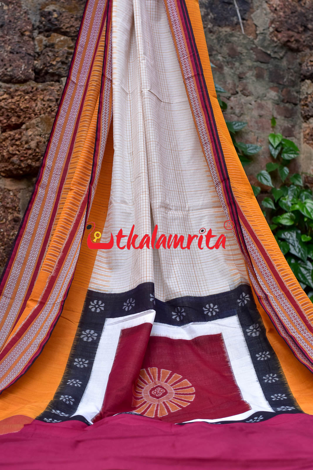 Sachipar With Kathifera Sambalpuri Cotton Saree