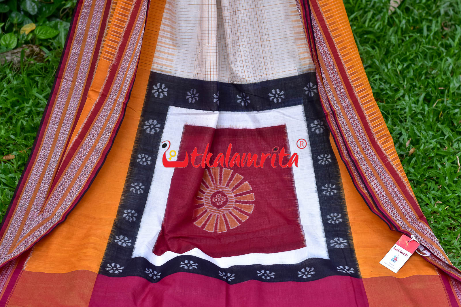 Sachipar With Kathifera Sambalpuri Cotton Saree