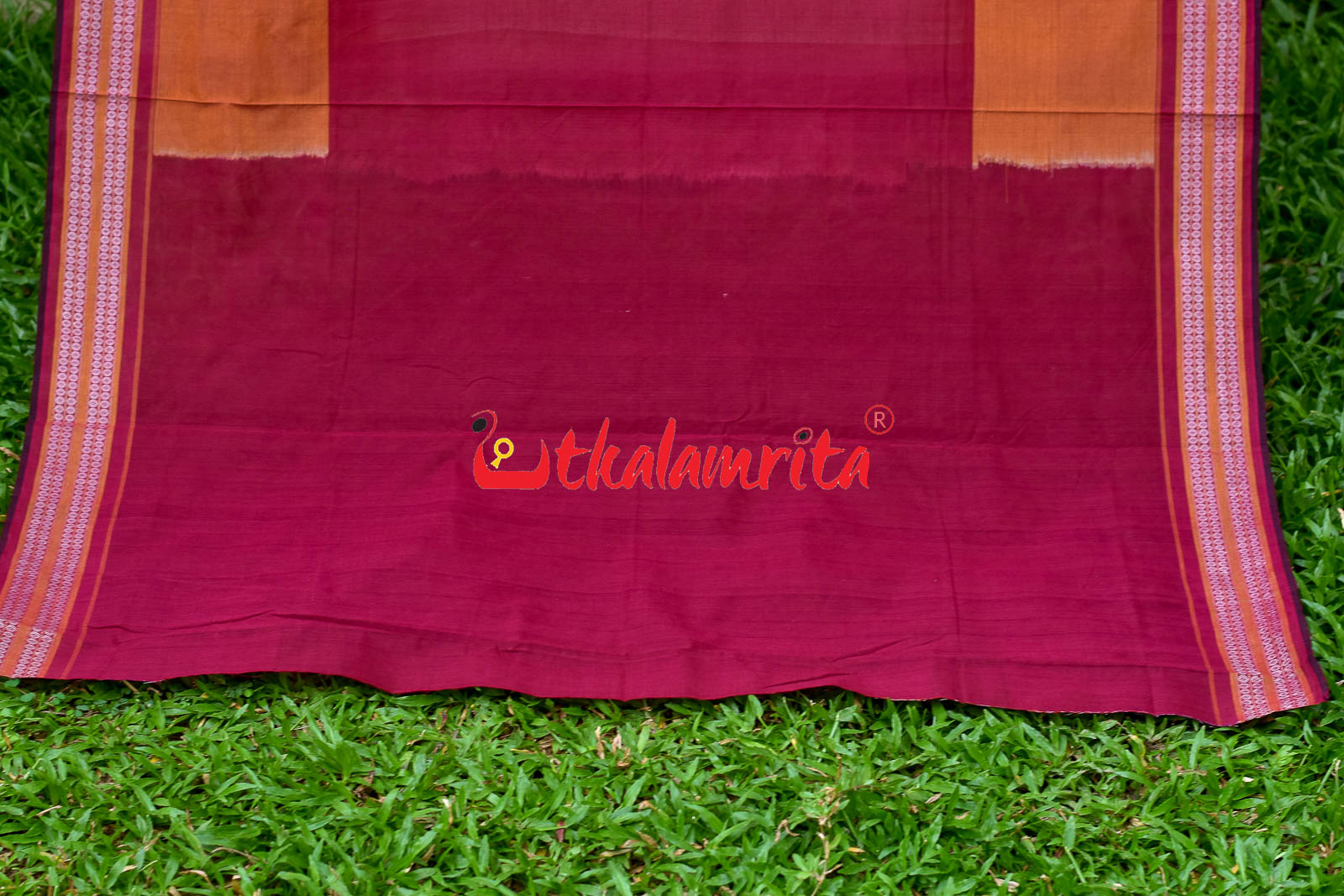 Sachipar With Kathifera Sambalpuri Cotton Saree