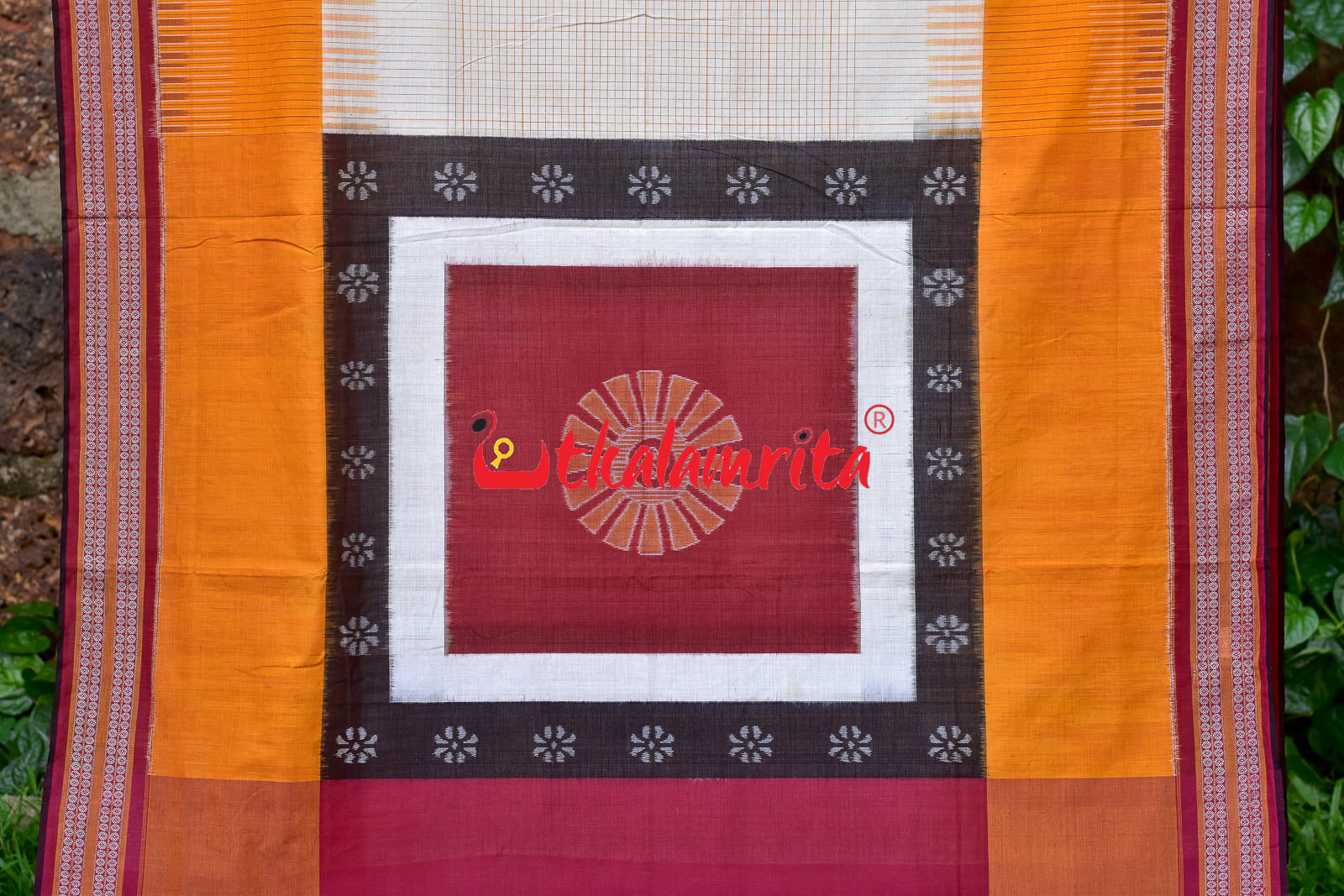 Sachipar With Kathifera Sambalpuri Cotton Saree