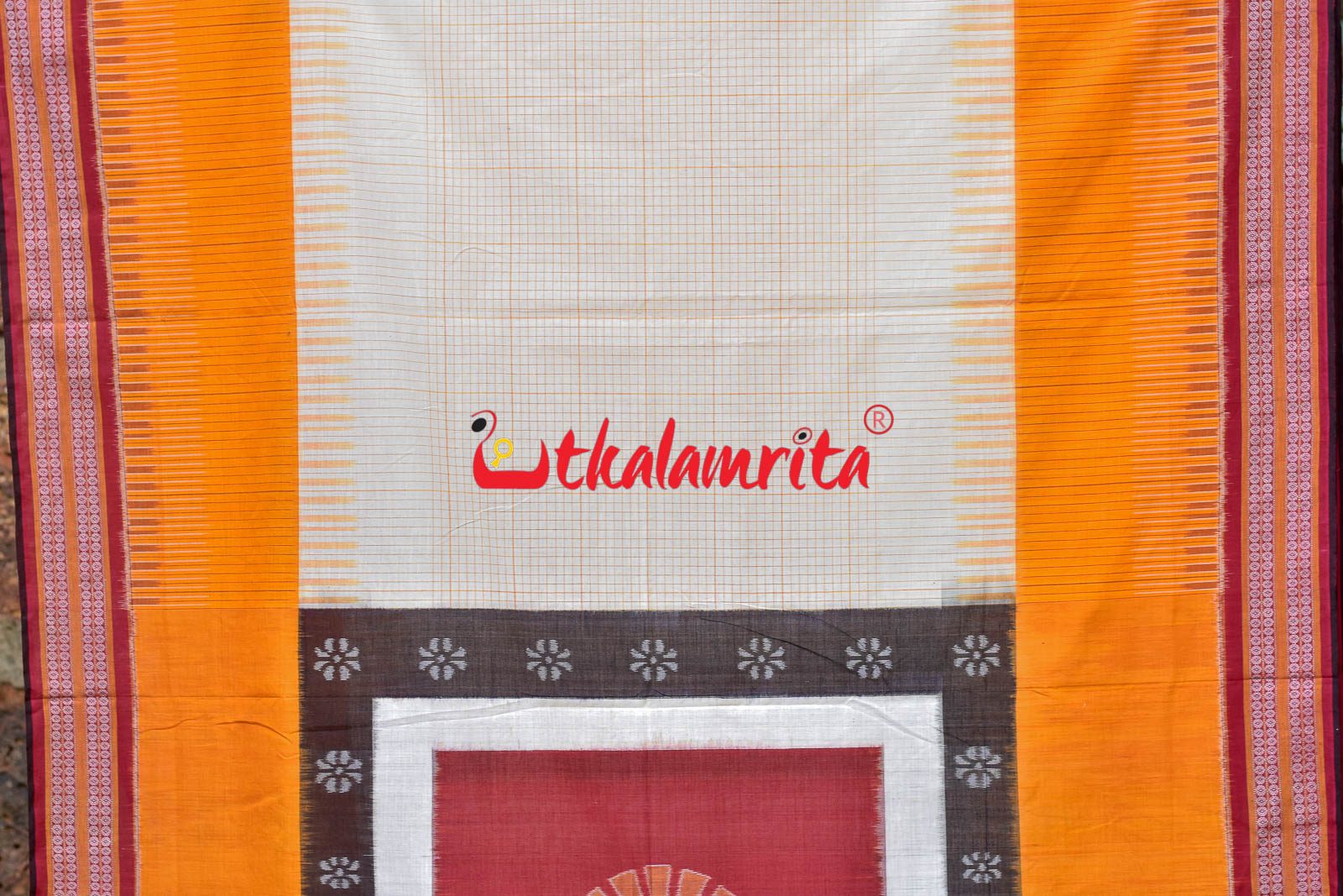 Sachipar With Kathifera Sambalpuri Cotton Saree