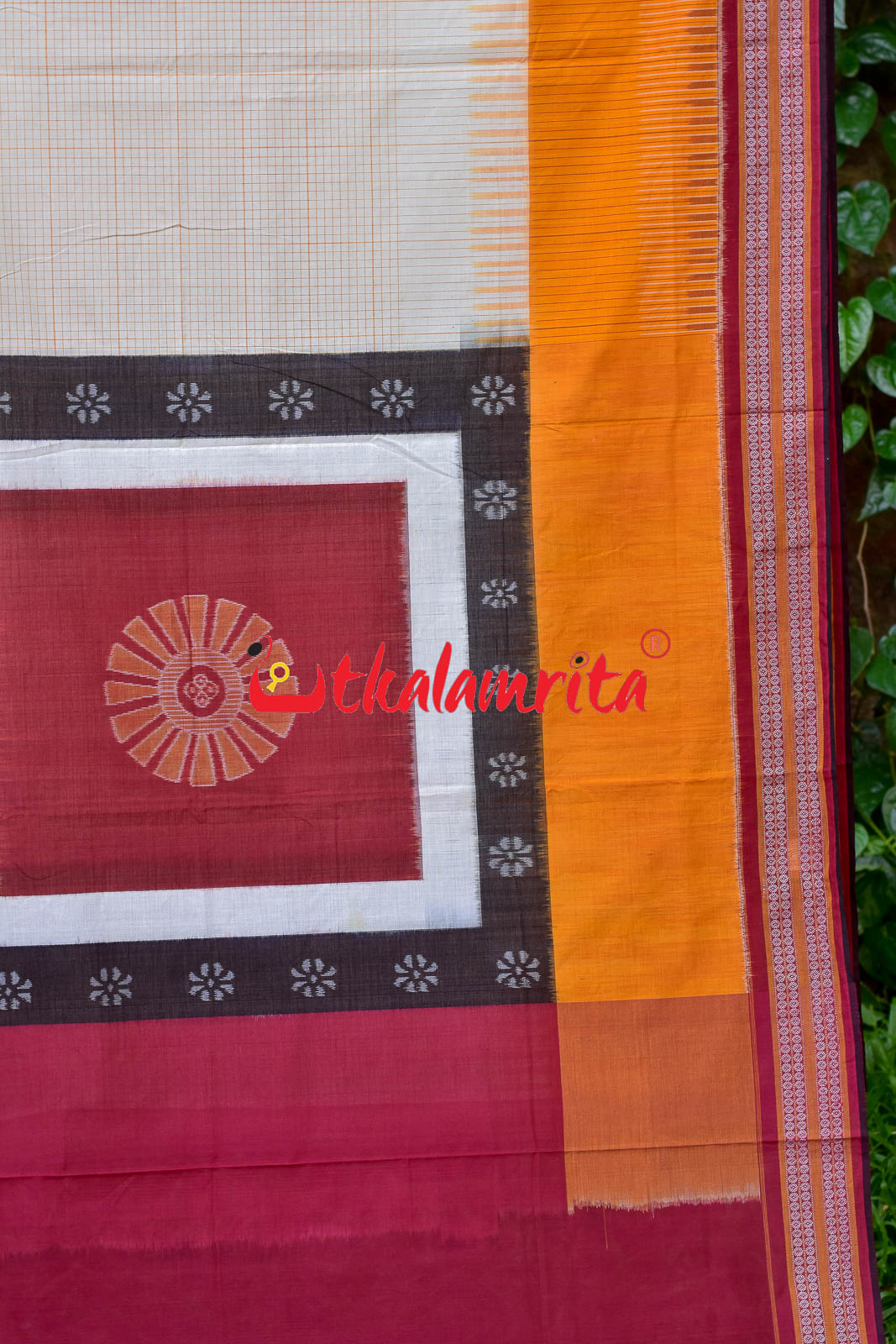 Sachipar With Kathifera Sambalpuri Cotton Saree