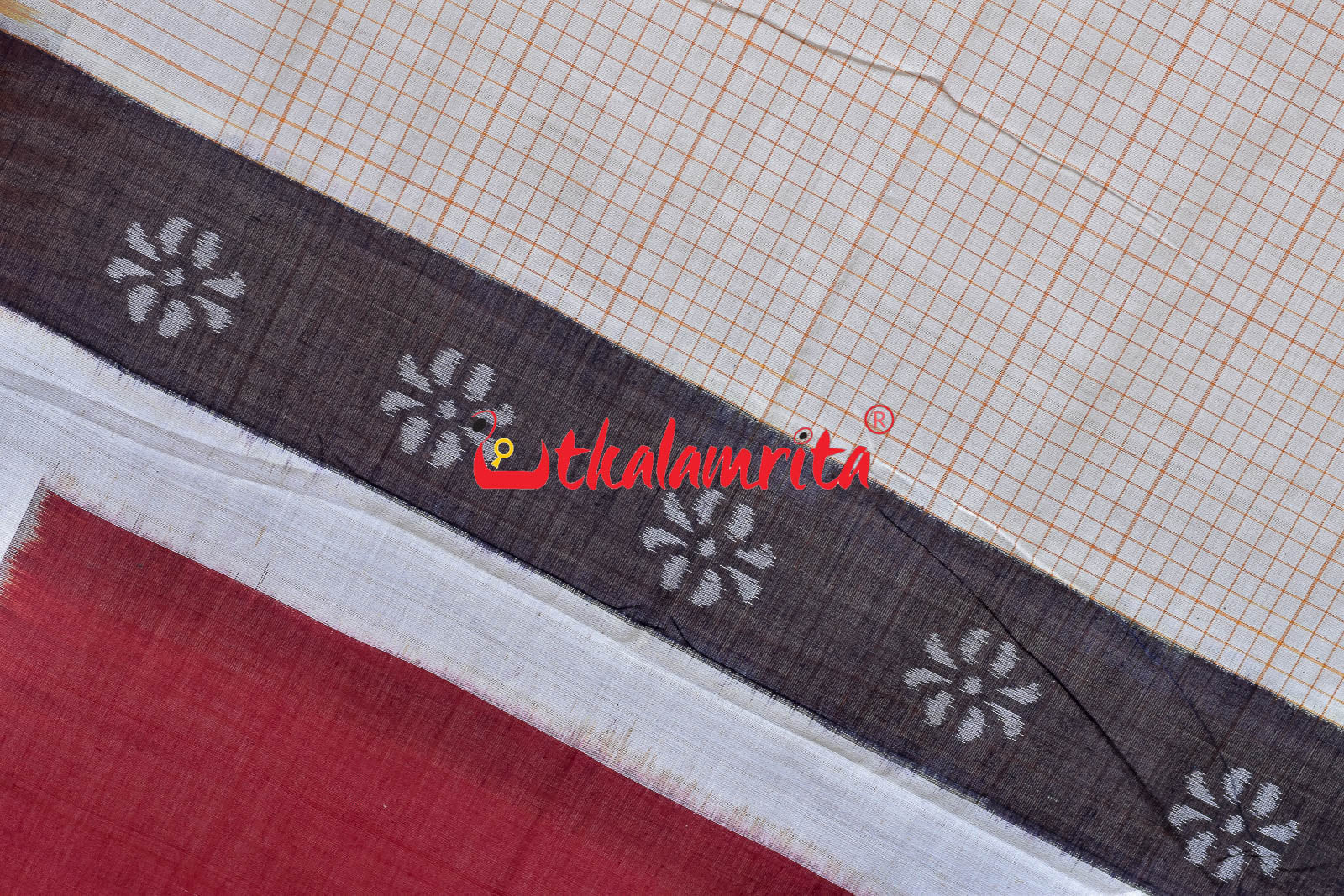 Sachipar With Kathifera Sambalpuri Cotton Saree