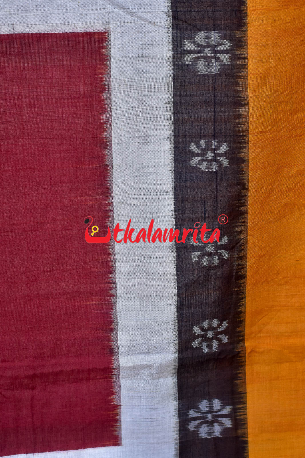 Sachipar With Kathifera Sambalpuri Cotton Saree