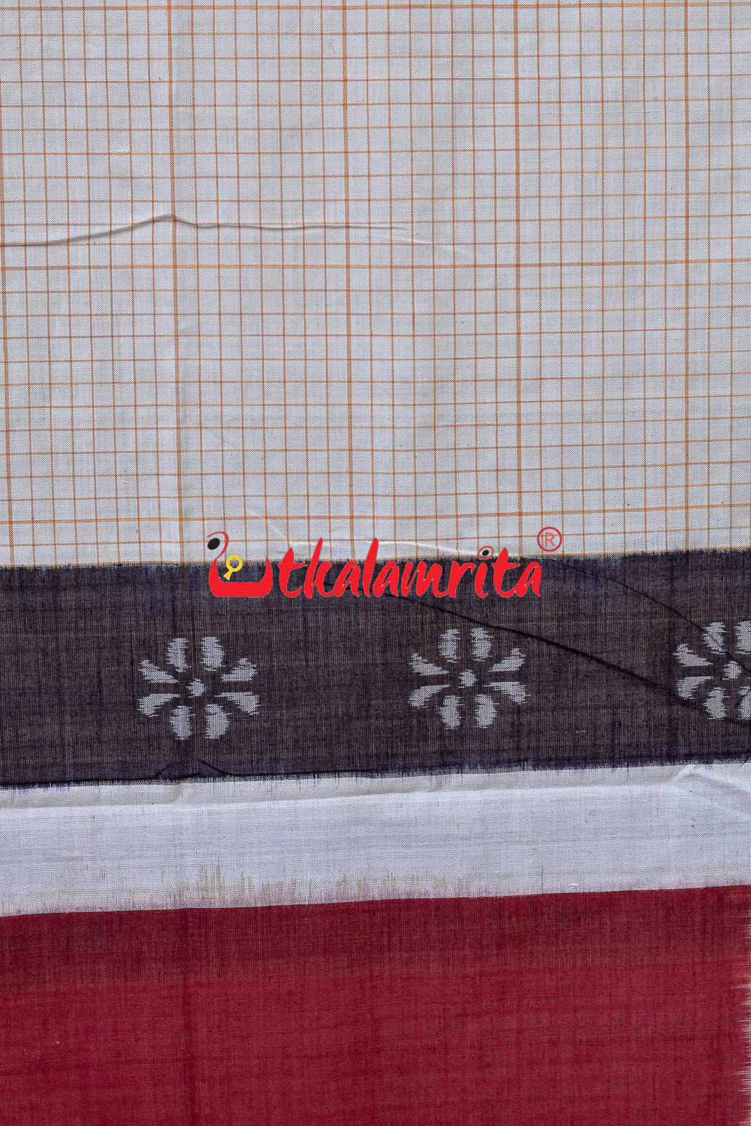 Sachipar With Kathifera Sambalpuri Cotton Saree