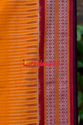 Sachipar With Kathifera Sambalpuri Cotton Saree