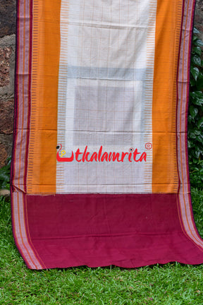 Sachipar With Kathifera Sambalpuri Cotton Saree