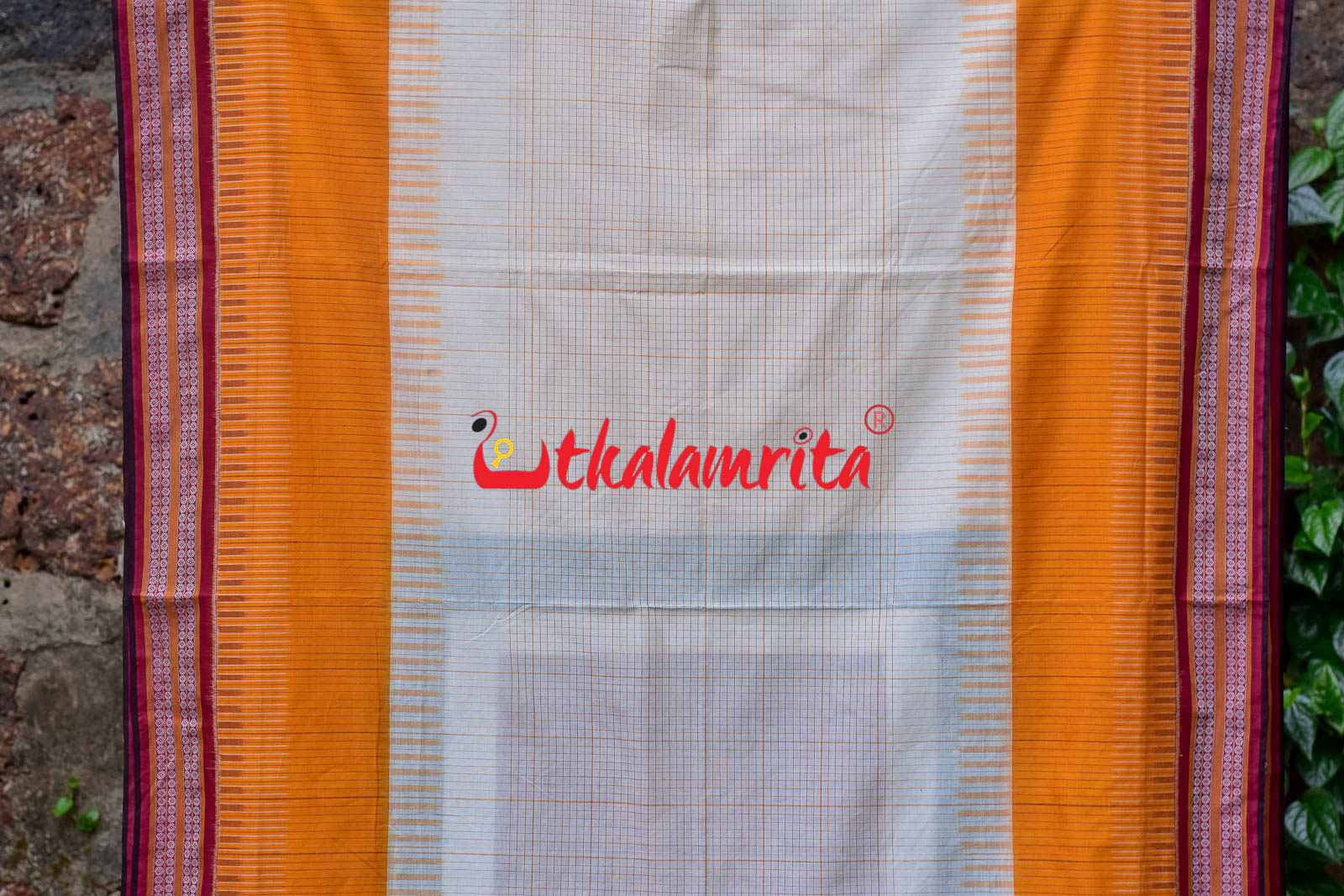 Sachipar With Kathifera Sambalpuri Cotton Saree