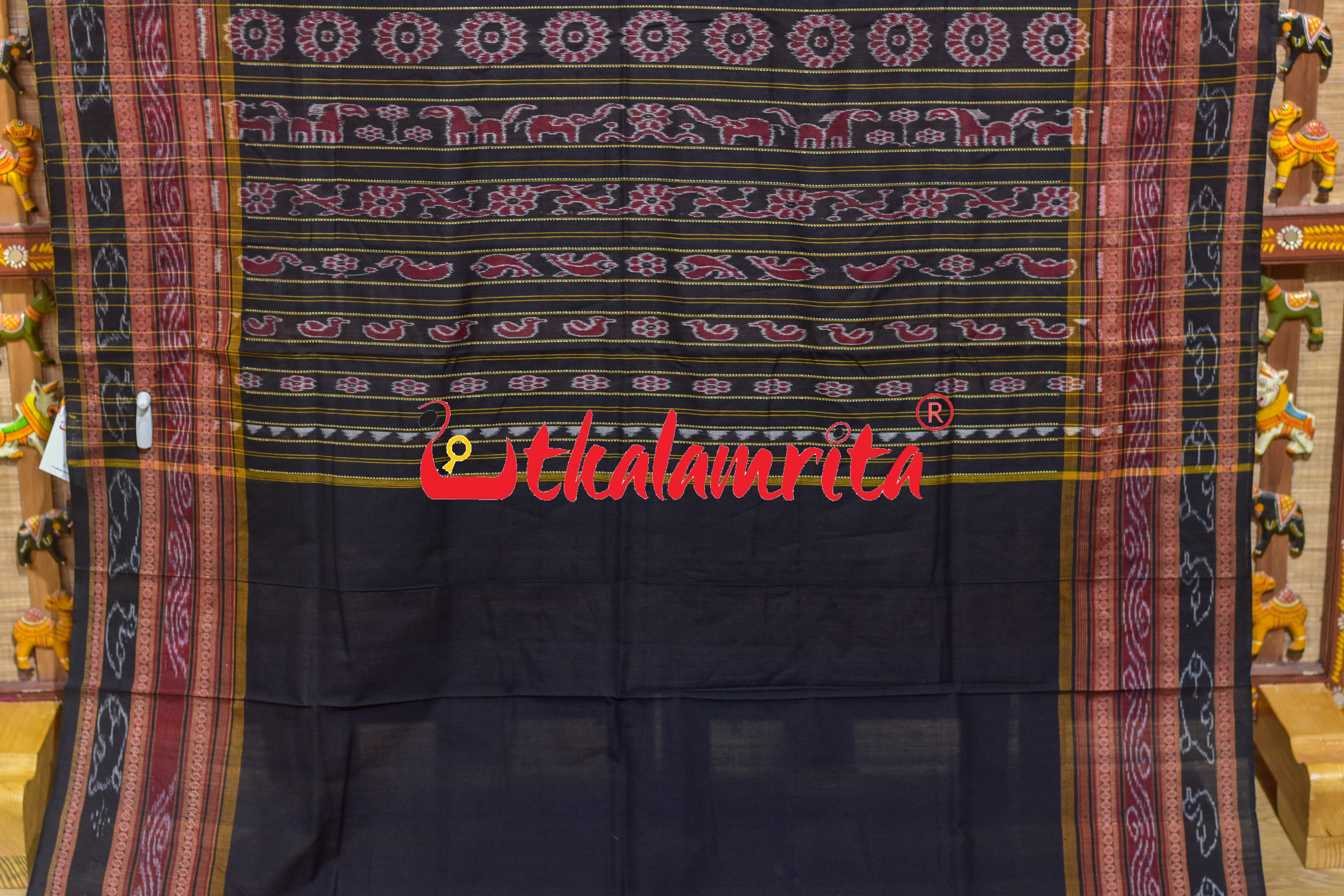 Brown Black Double Dhadi Sachipar Sambalpuri Cotton Saree