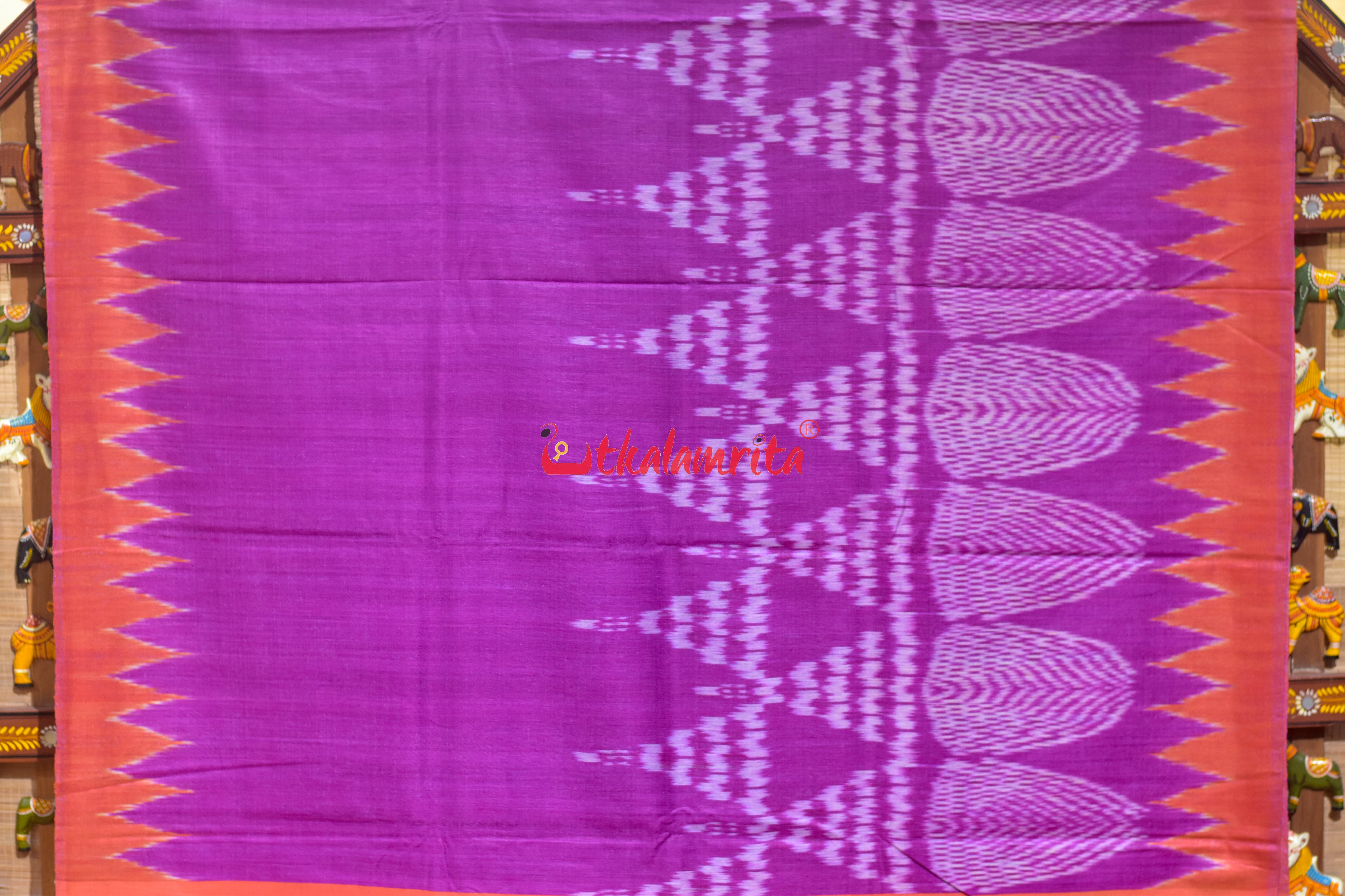 Rani Jhoti Chita Eri Gopalpur Tussar Silk Saree