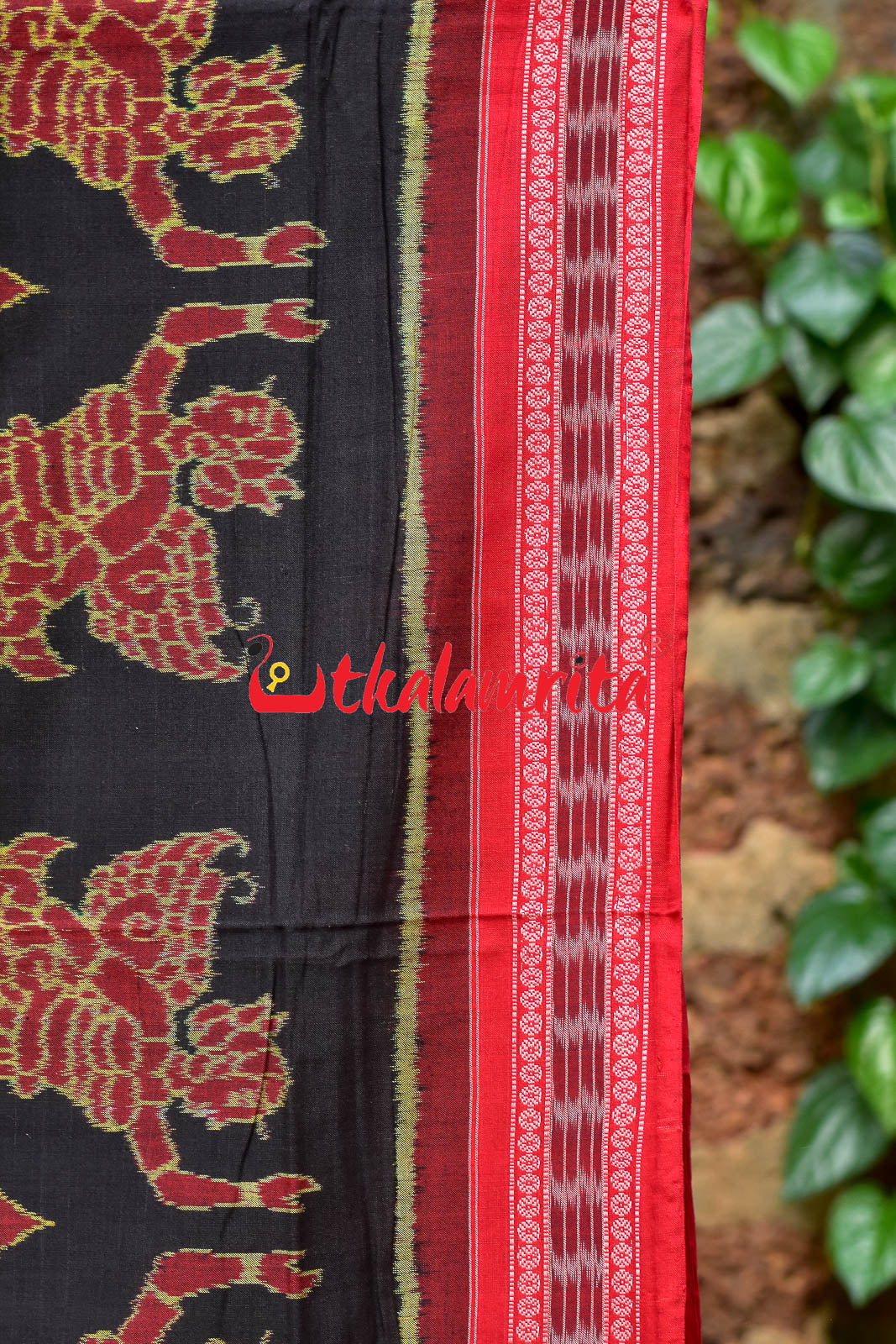 Black Pari Sambalpuri Cotton Saree