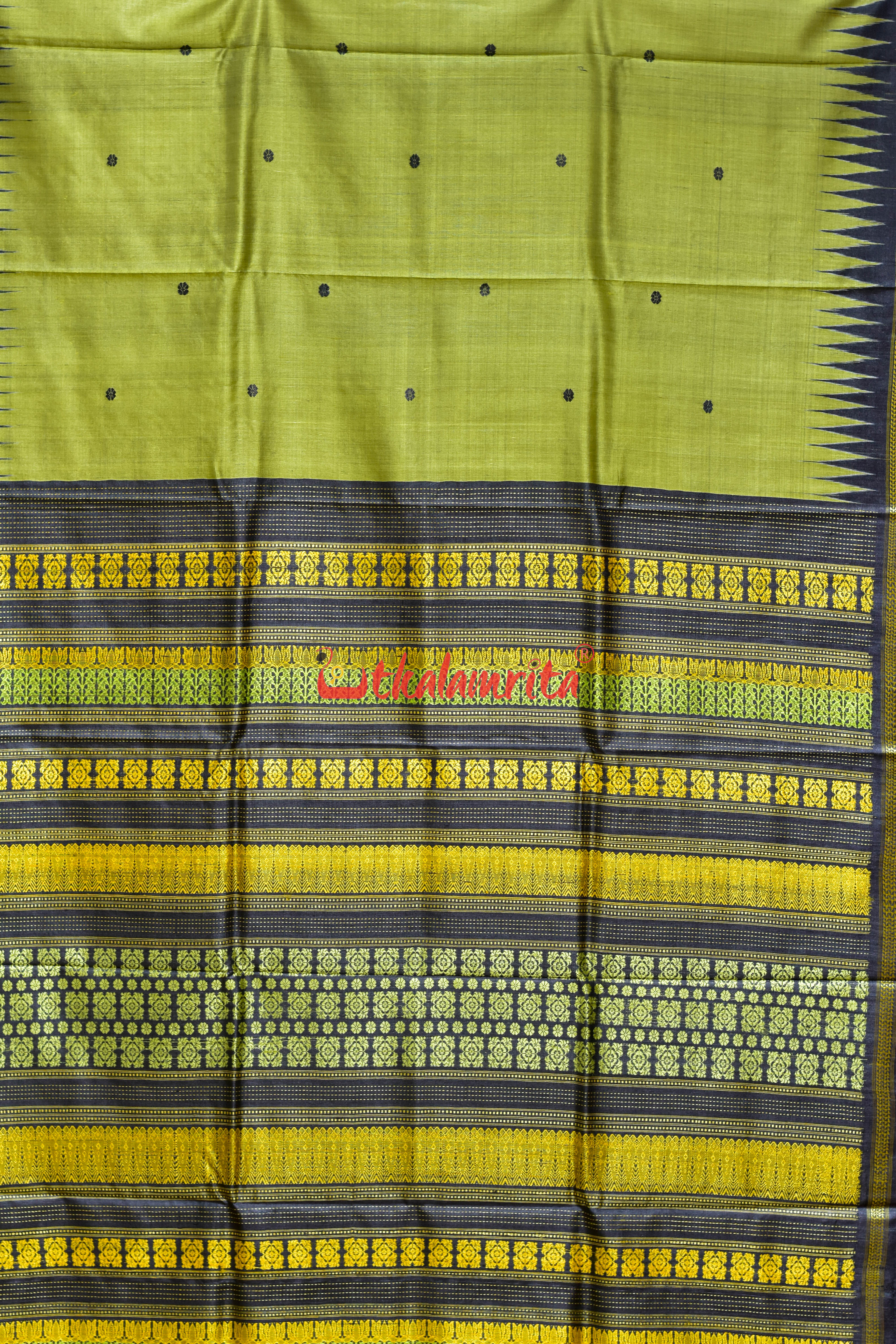 Olive Green Dobby Anchal Gopalpur Tussar Silk Saree