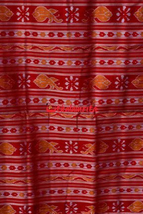 7 Kuthi RBW Pasapali Red Border Silk Saree