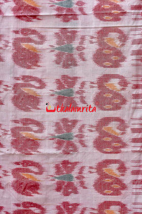 White Red Cotton Nabarangi Saree