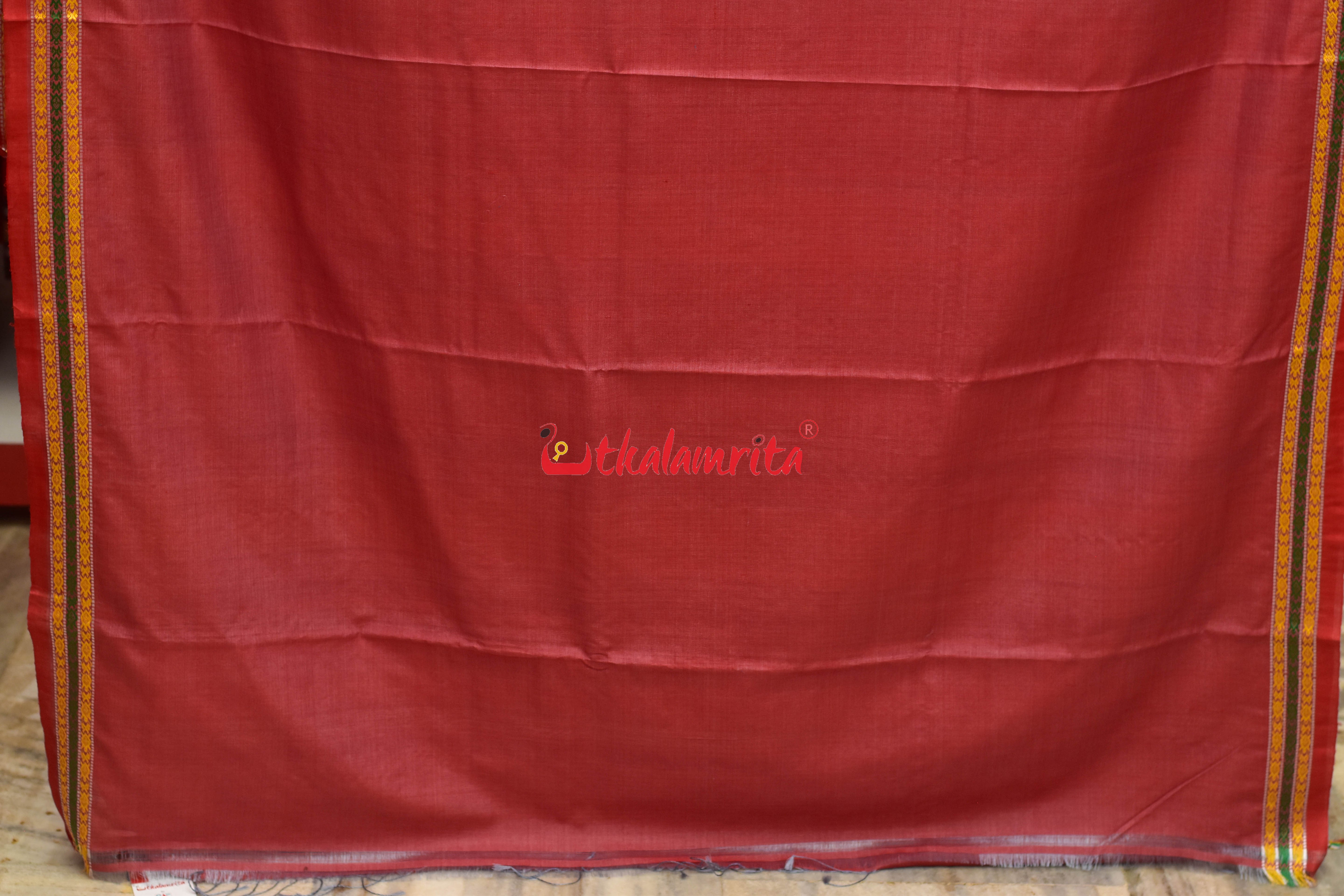 Grey Red Tortoise Border Jaala Anchal Tussar Saree