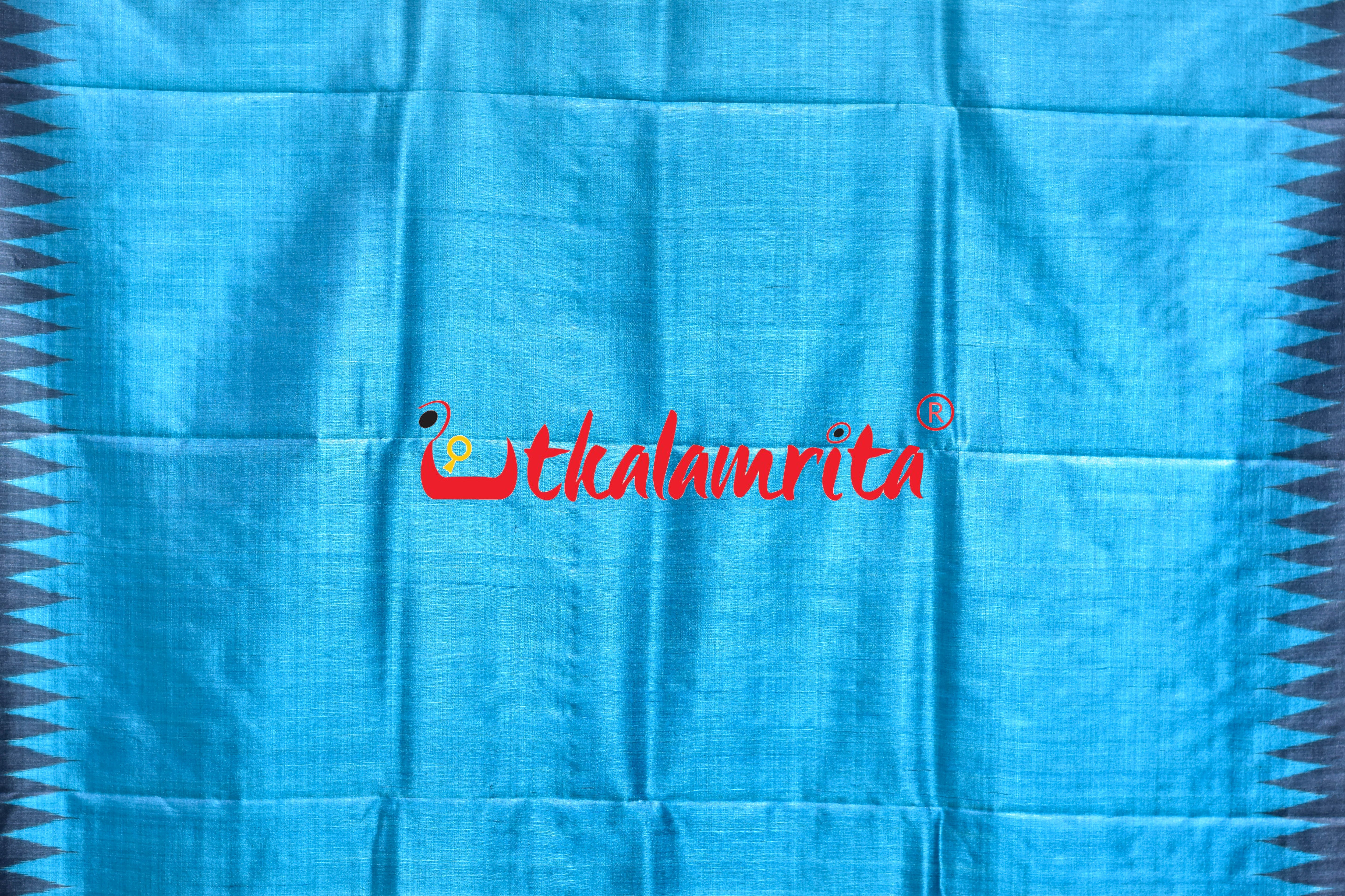 Boita Olive Ridley Blue Black Tussar Silk Saree