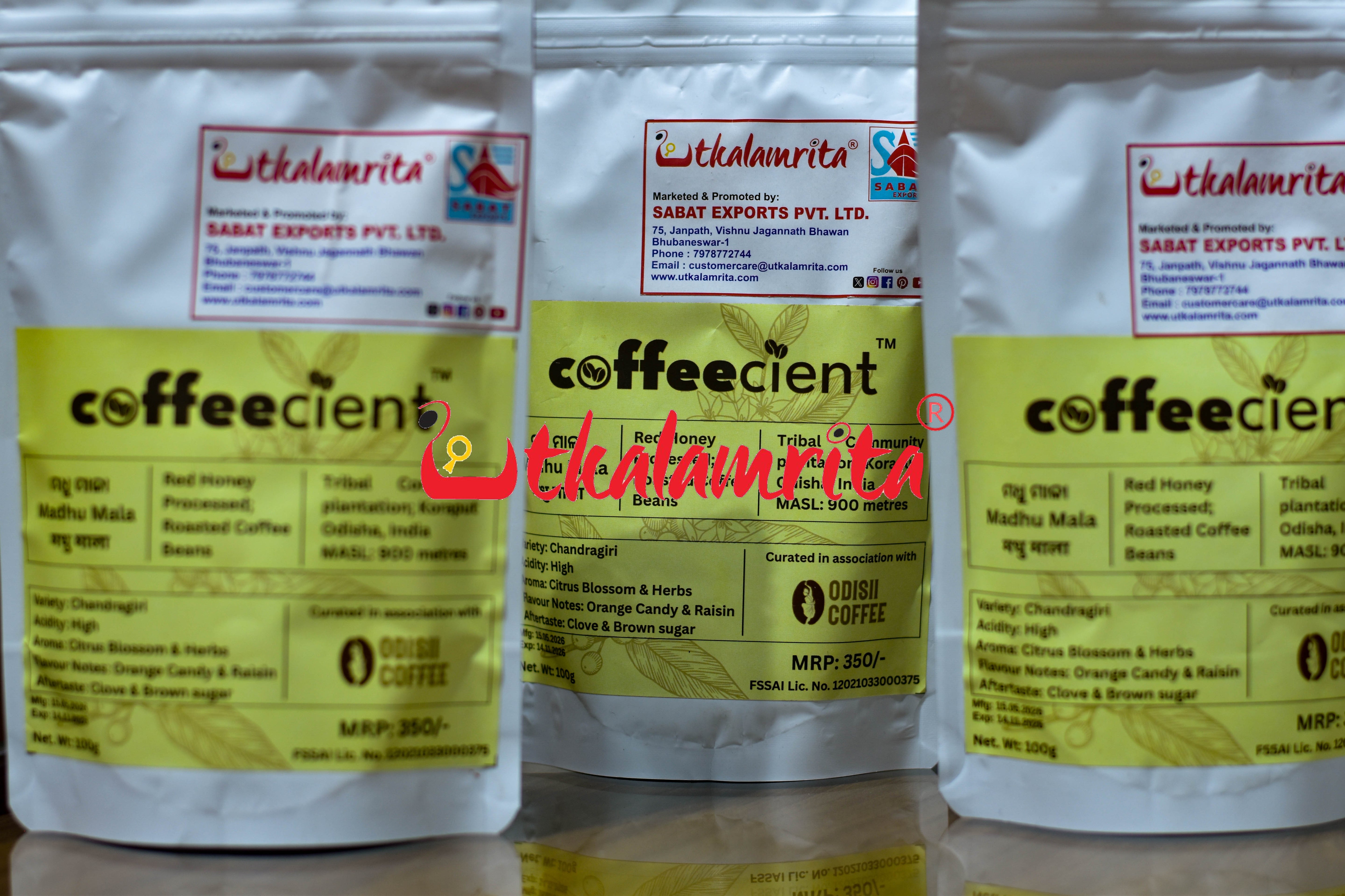 Koraput Coffee Powder-100G.M