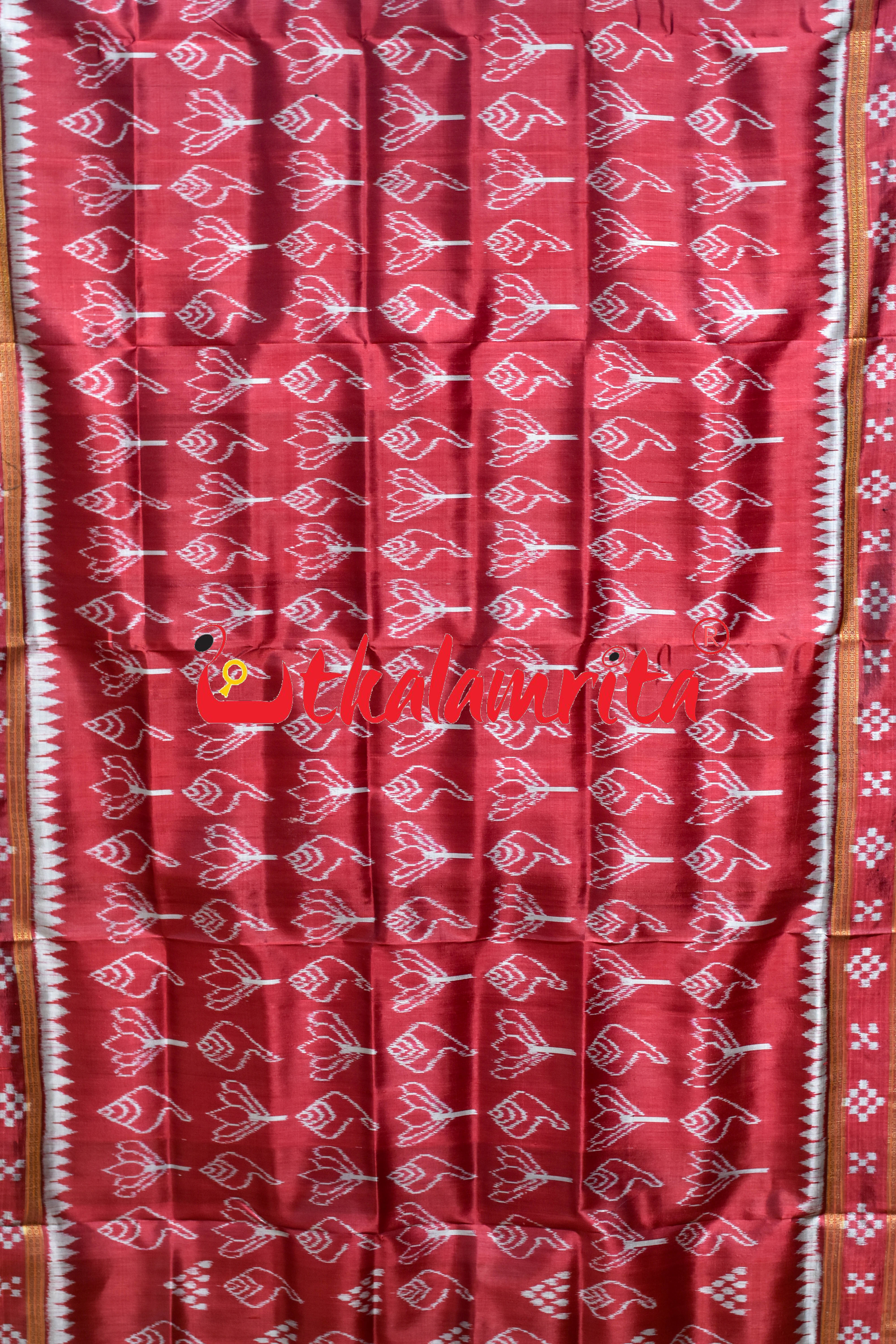 Red Sankha Padma Pasapali Border Khandua Silk Saree