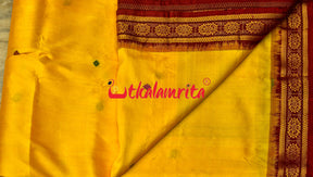 Haldi Pata With Chakra Border Khandua Silk Saree