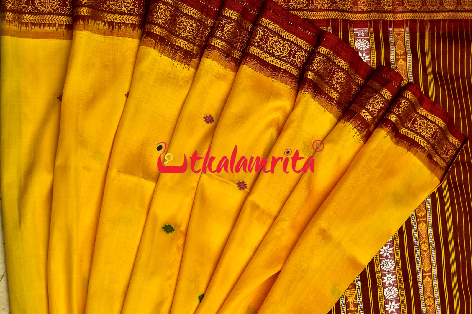 Haldi Pata With Chakra Border Khandua Silk Saree