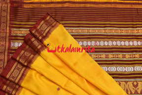 Haldi Pata With Chakra Border Khandua Silk Saree