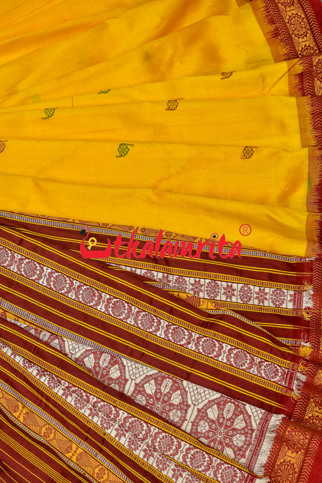 Haldi Pata With Chakra Border Khandua Silk Saree