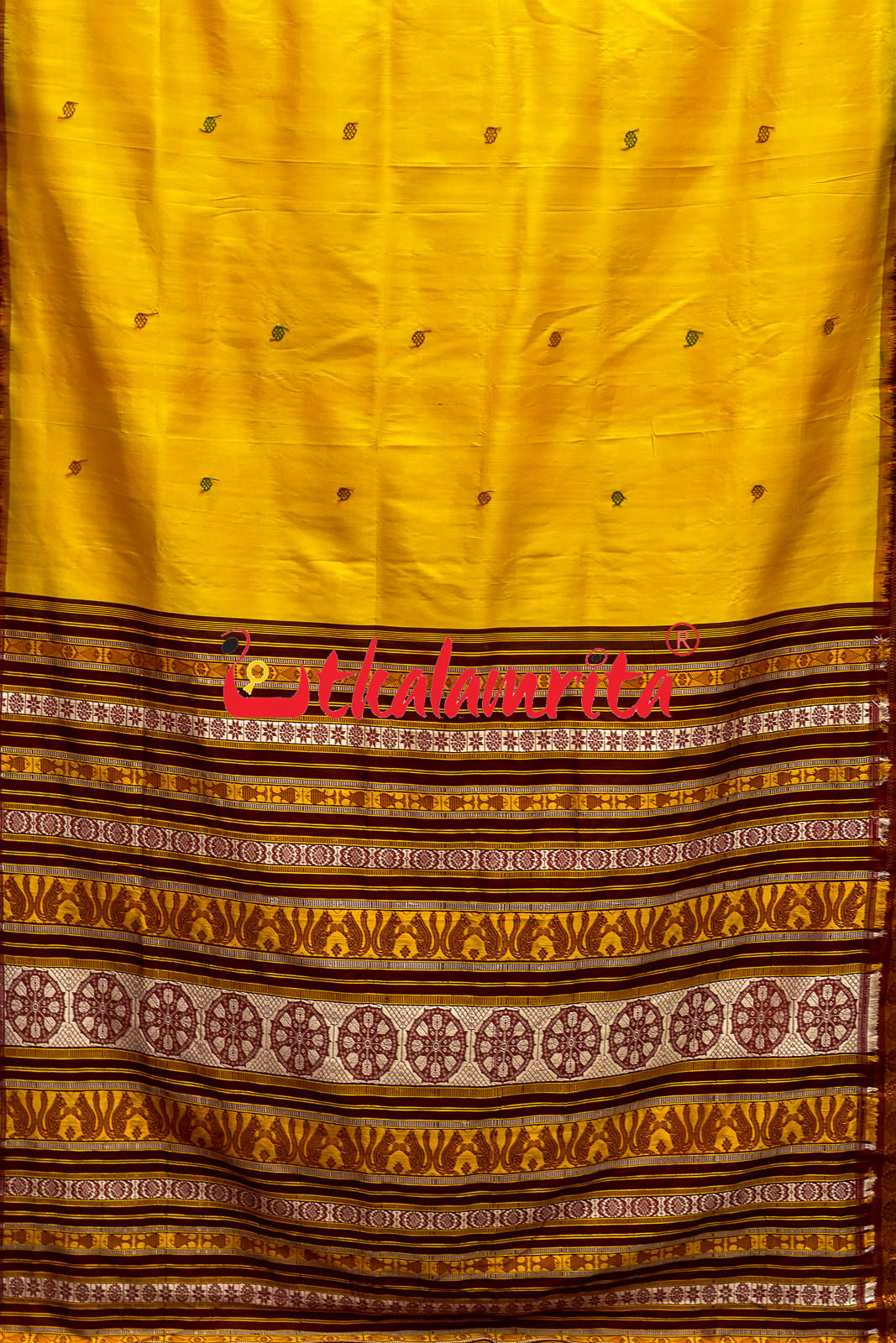 Haldi Pata With Chakra Border Khandua Silk Saree