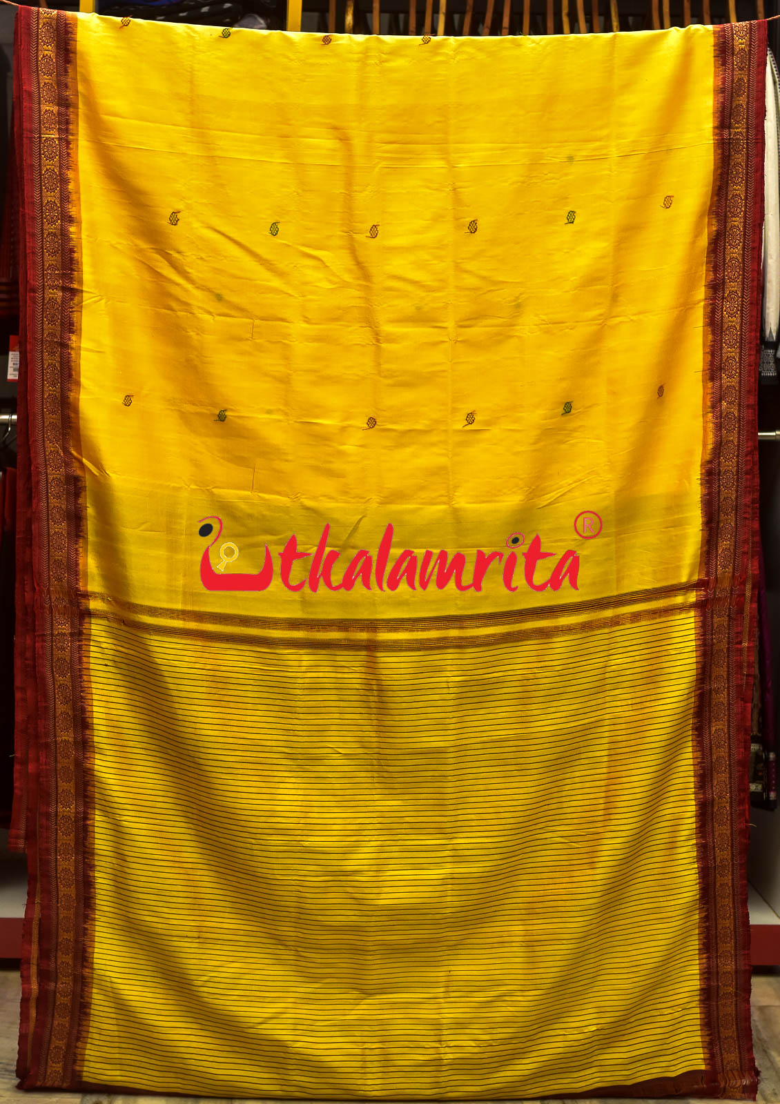 Haldi Pata With Chakra Border Khandua Silk Saree