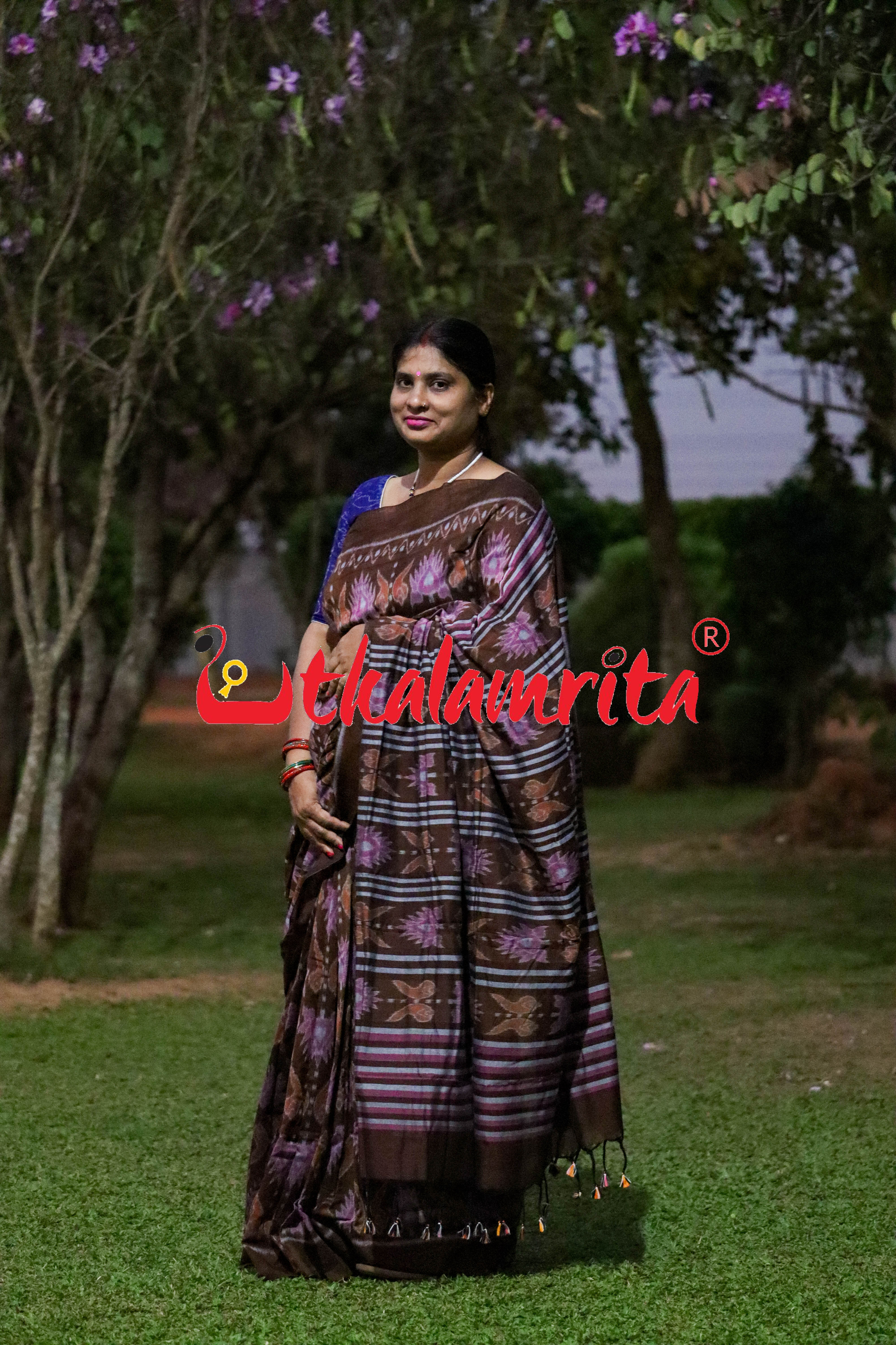 Coffee Jodi Sankha Khandua Cotton Saree