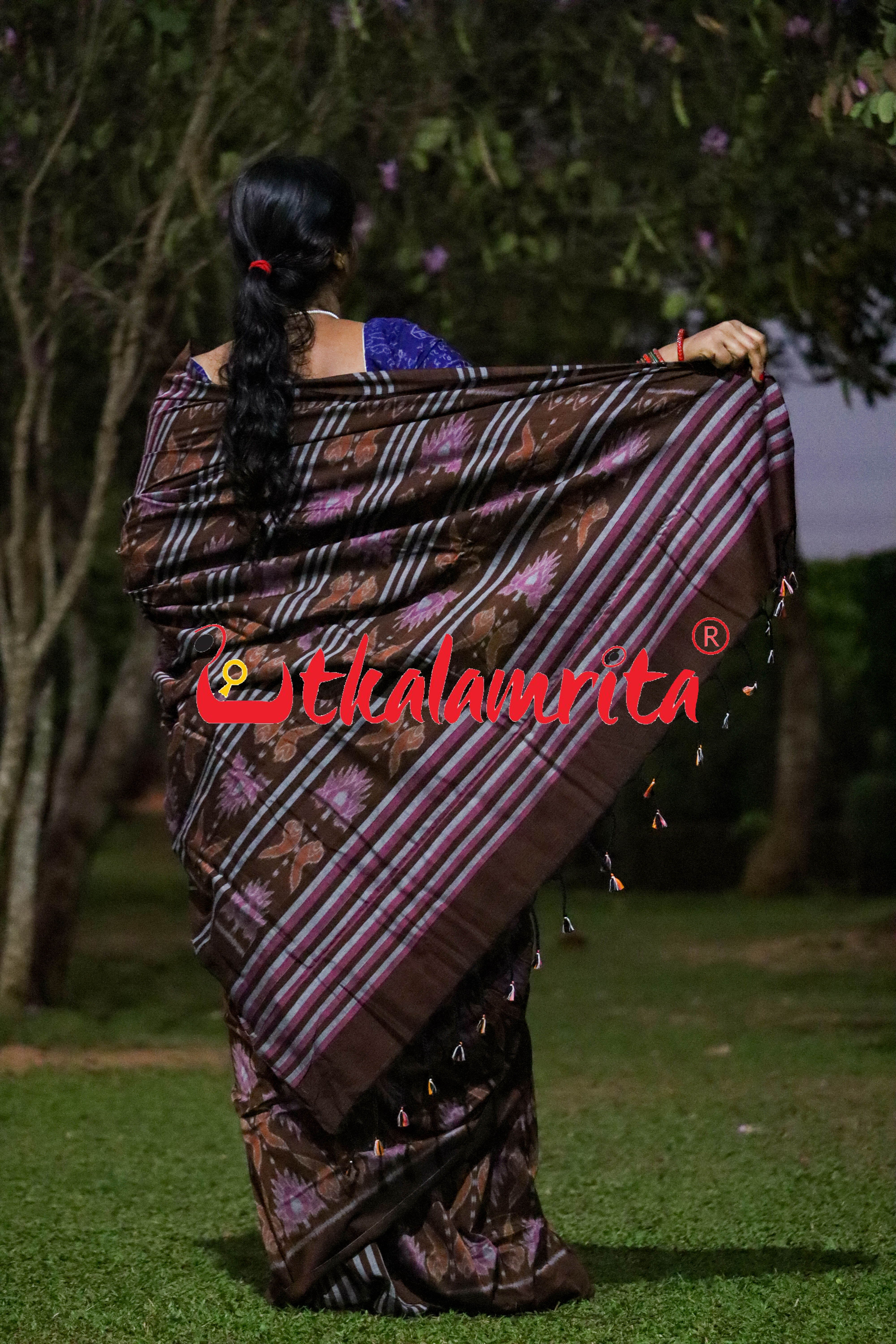 Coffee Jodi Sankha Khandua Cotton Saree